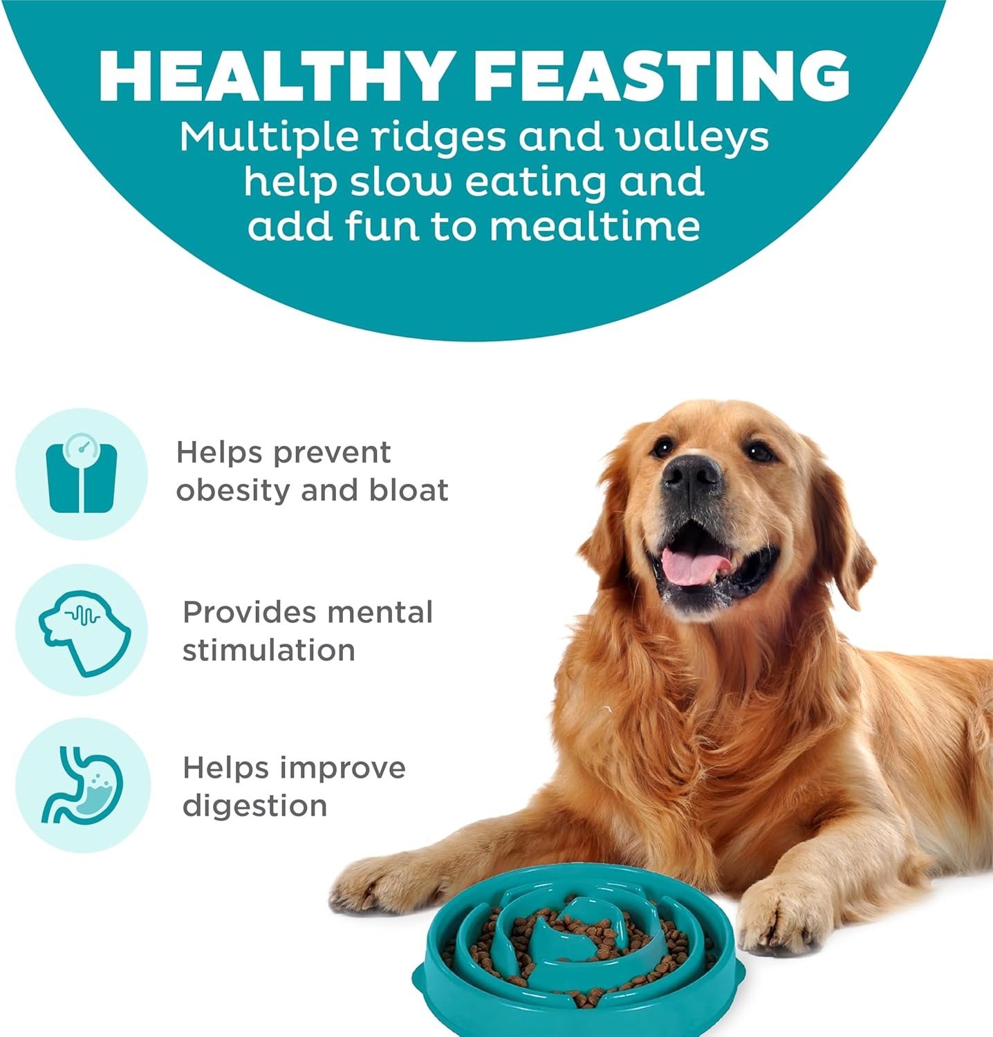 image:imageOutward Hound Medium Slow Feeder Bowl Puzzle Maze for Fast Eaters Small to Medium Dogs Helps Prevent Bloat amp Aid Digestion Holds 2 Cups Wet or Dry Food NonSlip Made Without BPA SageTurquoise