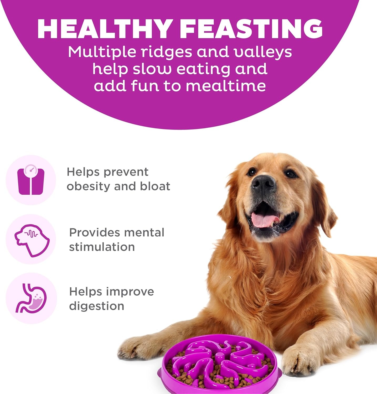 image:imageOutward Hound Medium Slow Feeder Bowl Puzzle Maze for Fast Eaters Small to Medium Dogs Helps Prevent Bloat amp Aid Digestion Holds 2 Cups Wet or Dry Food NonSlip Made Without BPA SagePurple