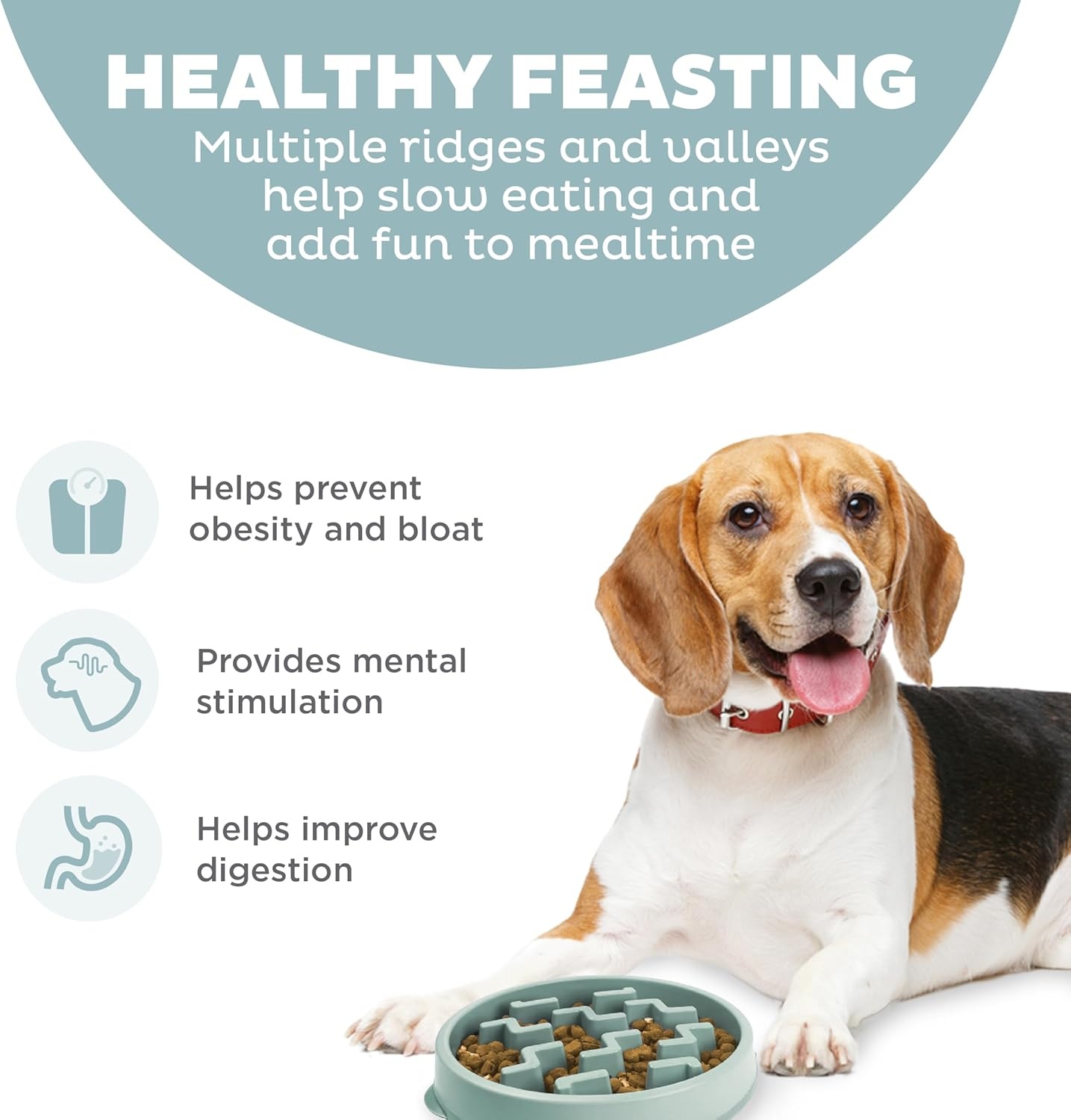 image:imageOutward Hound Medium Slow Feeder Bowl Puzzle Maze for Fast Eaters Small to Medium Dogs Helps Prevent Bloat amp Aid Digestion Holds 2 Cups Wet or Dry Food NonSlip Made Without BPA SageSage