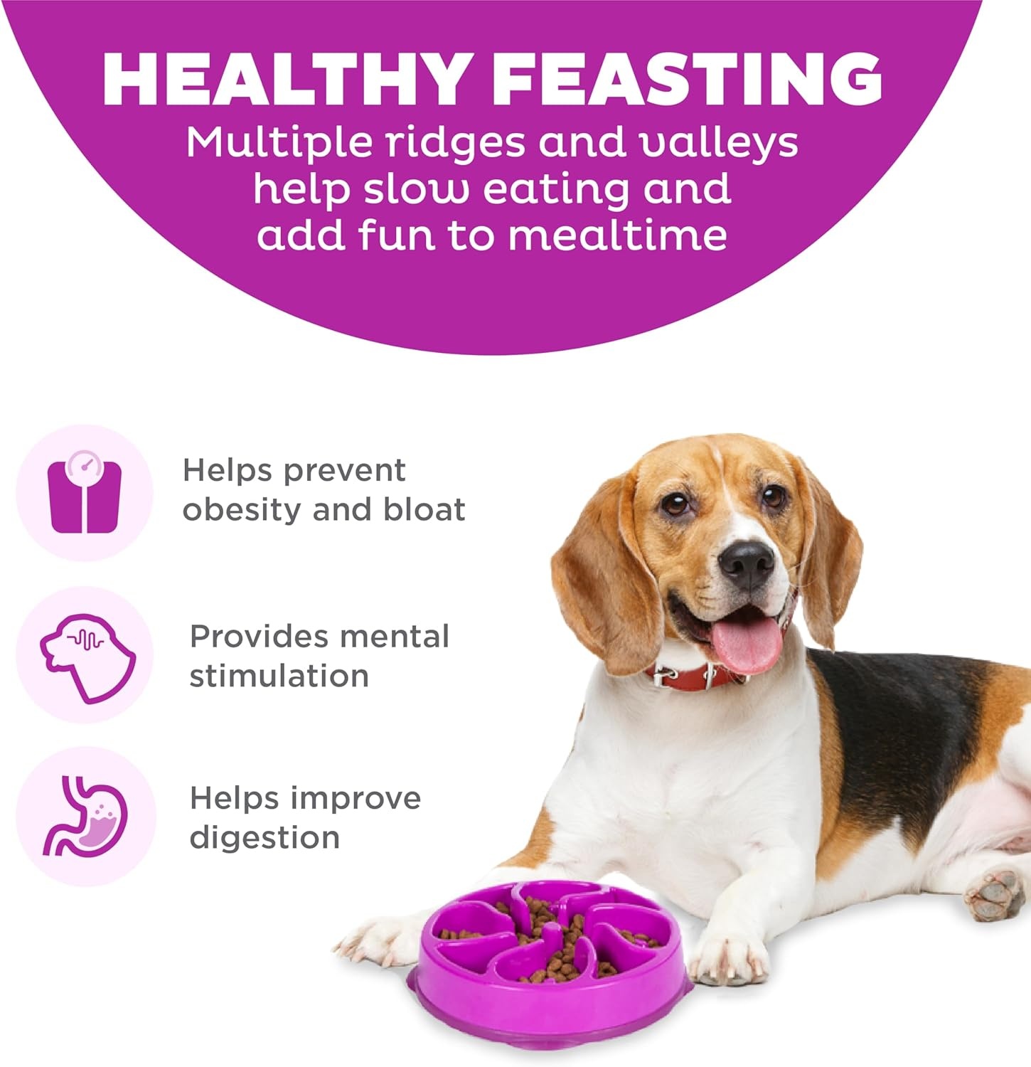 image:imageOutward Hound Medium Slow Feeder Bowl Puzzle Maze for Fast Eaters Small to Medium Dogs Helps Prevent Bloat amp Aid Digestion Holds 2 Cups Wet or Dry Food NonSlip Made Without BPA SagePurple