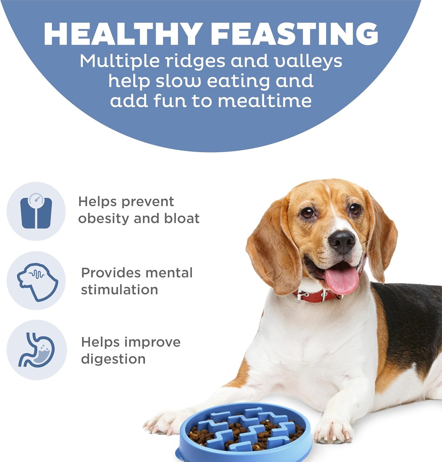 image:imageOutward Hound Medium Slow Feeder Bowl Puzzle Maze for Fast Eaters Small to Medium Dogs Helps Prevent Bloat amp Aid Digestion Holds 2 Cups Wet or Dry Food NonSlip Made Without BPA SageBlue