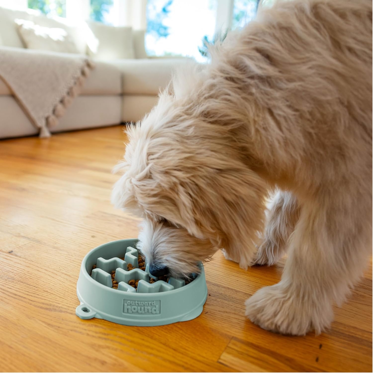 image:imageOutward Hound Medium Slow Feeder Bowl Puzzle Maze for Fast Eaters Small to Medium Dogs Helps Prevent Bloat amp Aid Digestion Holds 2 Cups Wet or Dry Food NonSlip Made Without BPA SageSage