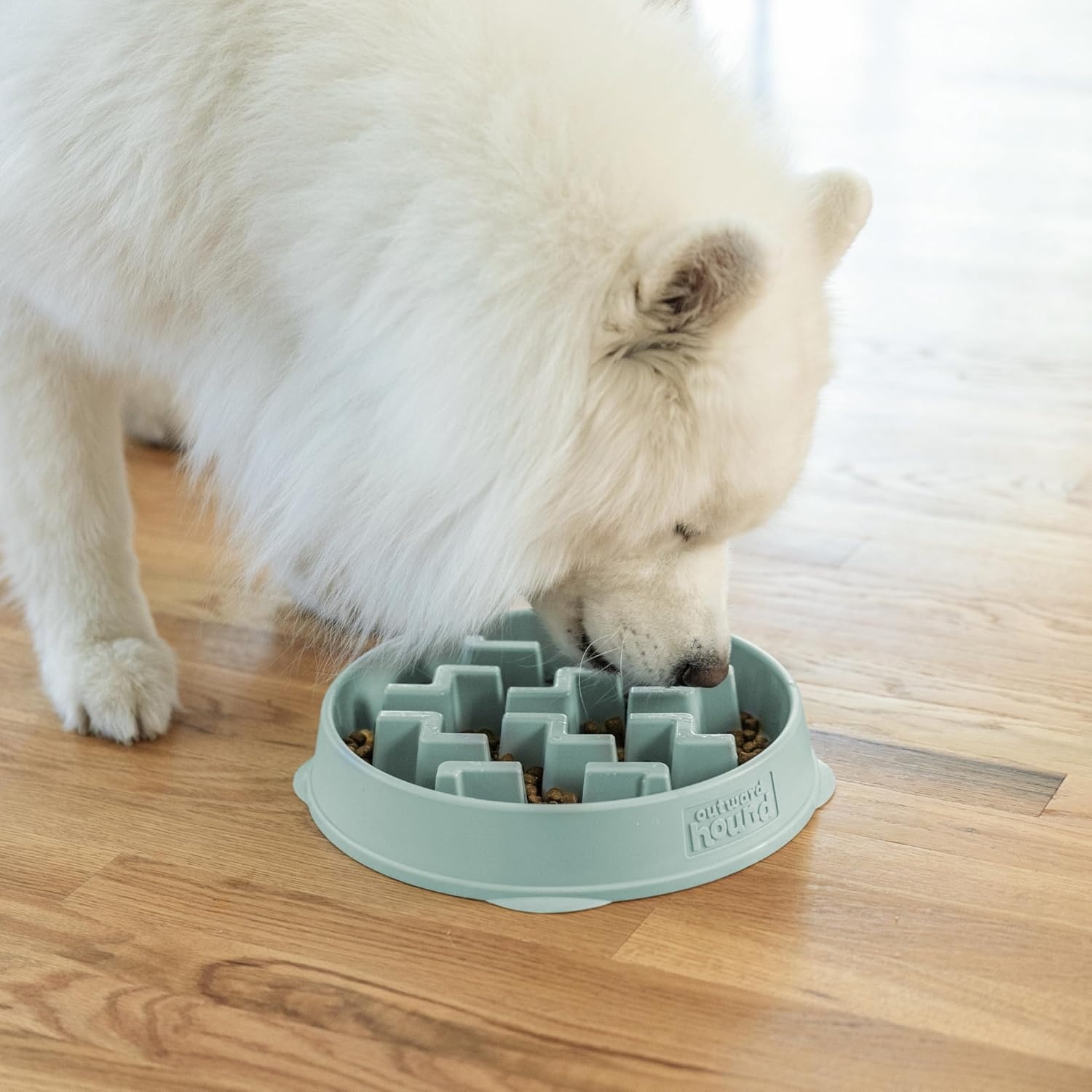 image:imageOutward Hound Medium Slow Feeder Bowl Puzzle Maze for Fast Eaters Small to Medium Dogs Helps Prevent Bloat amp Aid Digestion Holds 2 Cups Wet or Dry Food NonSlip Made Without BPA SageSage