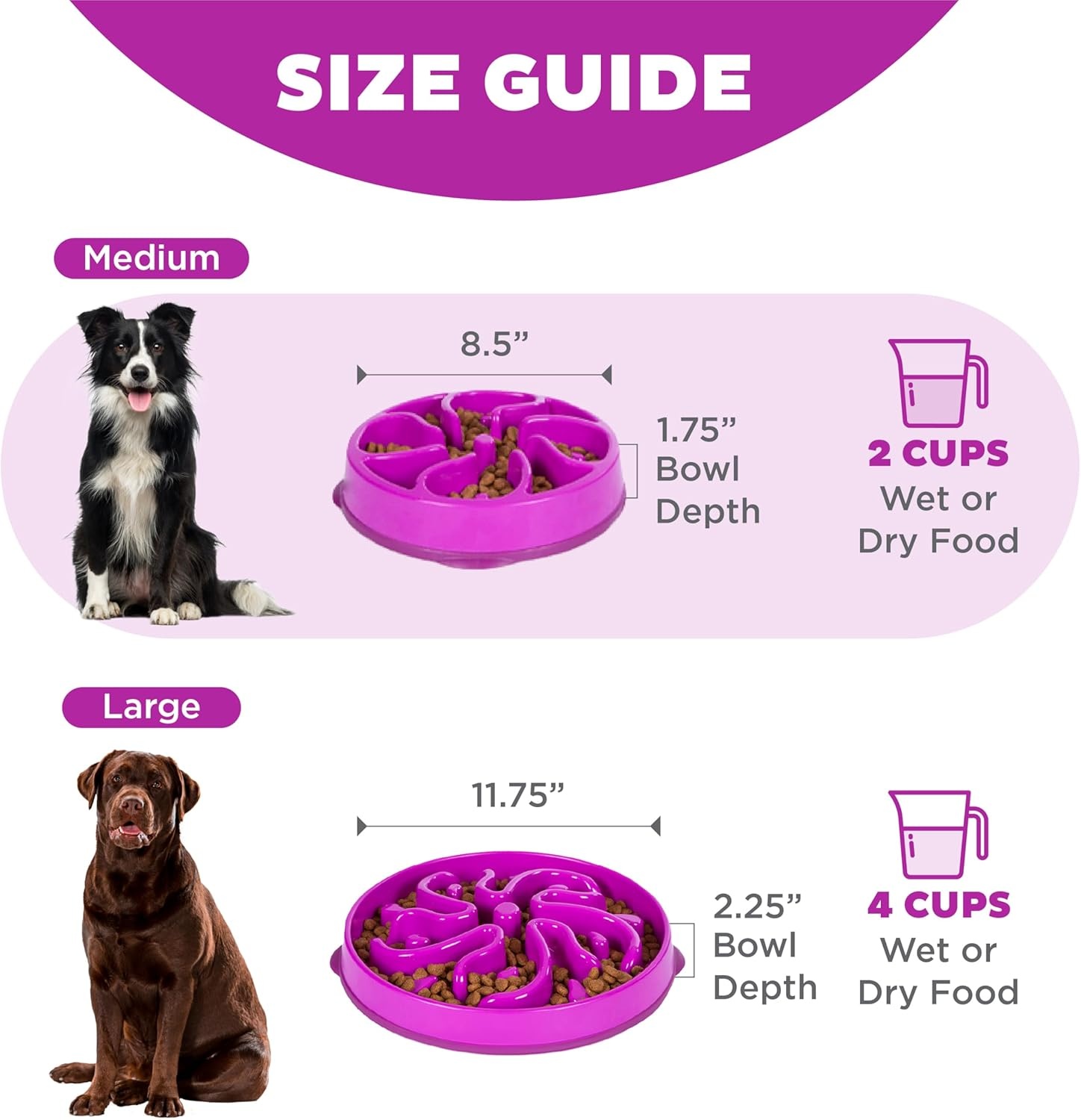 image:imageOutward Hound Medium Slow Feeder Bowl Puzzle Maze for Fast Eaters Small to Medium Dogs Helps Prevent Bloat amp Aid Digestion Holds 2 Cups Wet or Dry Food NonSlip Made Without BPA SagePurple