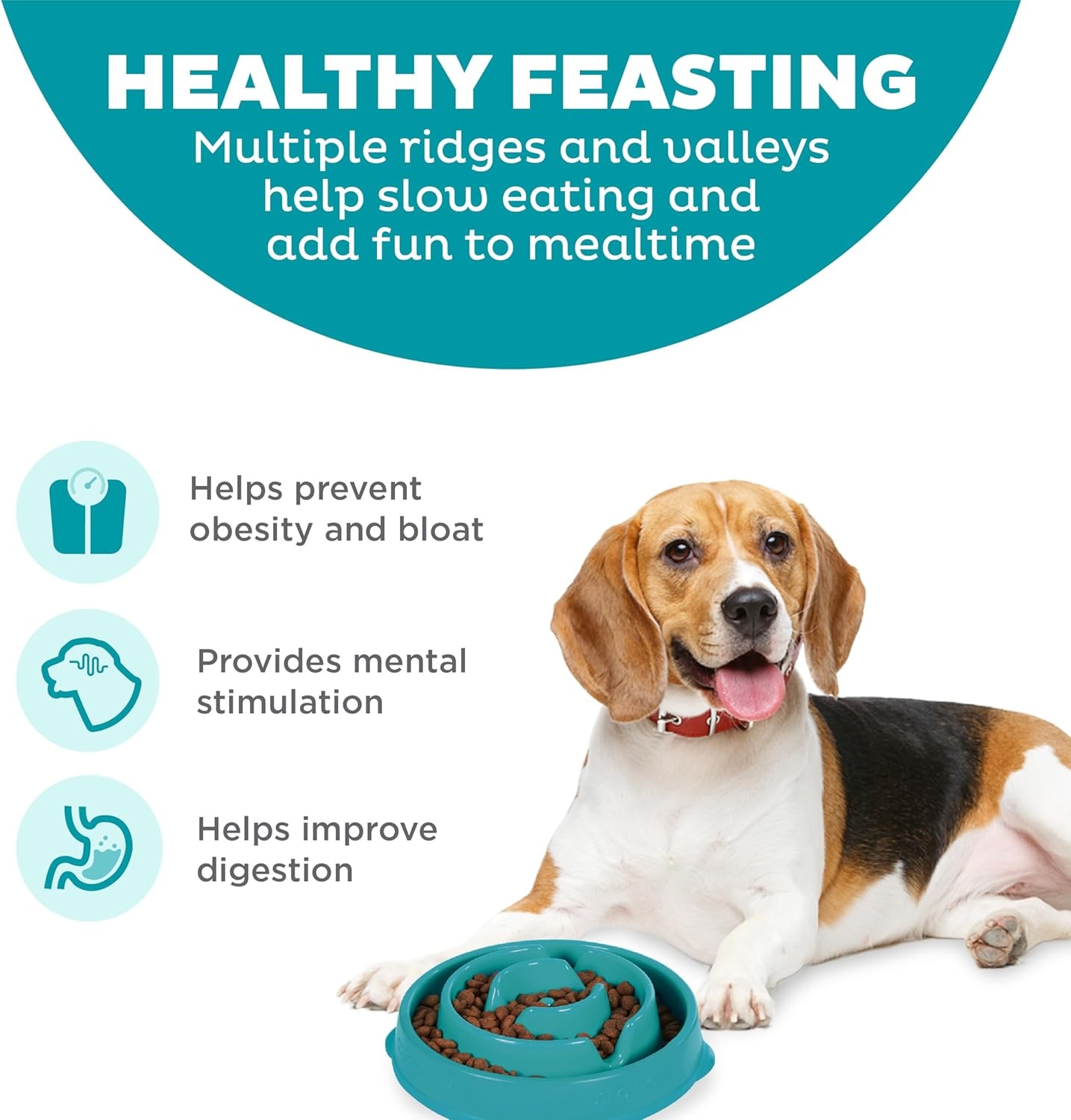 image:imageOutward Hound Medium Slow Feeder Bowl Puzzle Maze for Fast Eaters Small to Medium Dogs Helps Prevent Bloat amp Aid Digestion Holds 2 Cups Wet or Dry Food NonSlip Made Without BPA SageTurquoise
