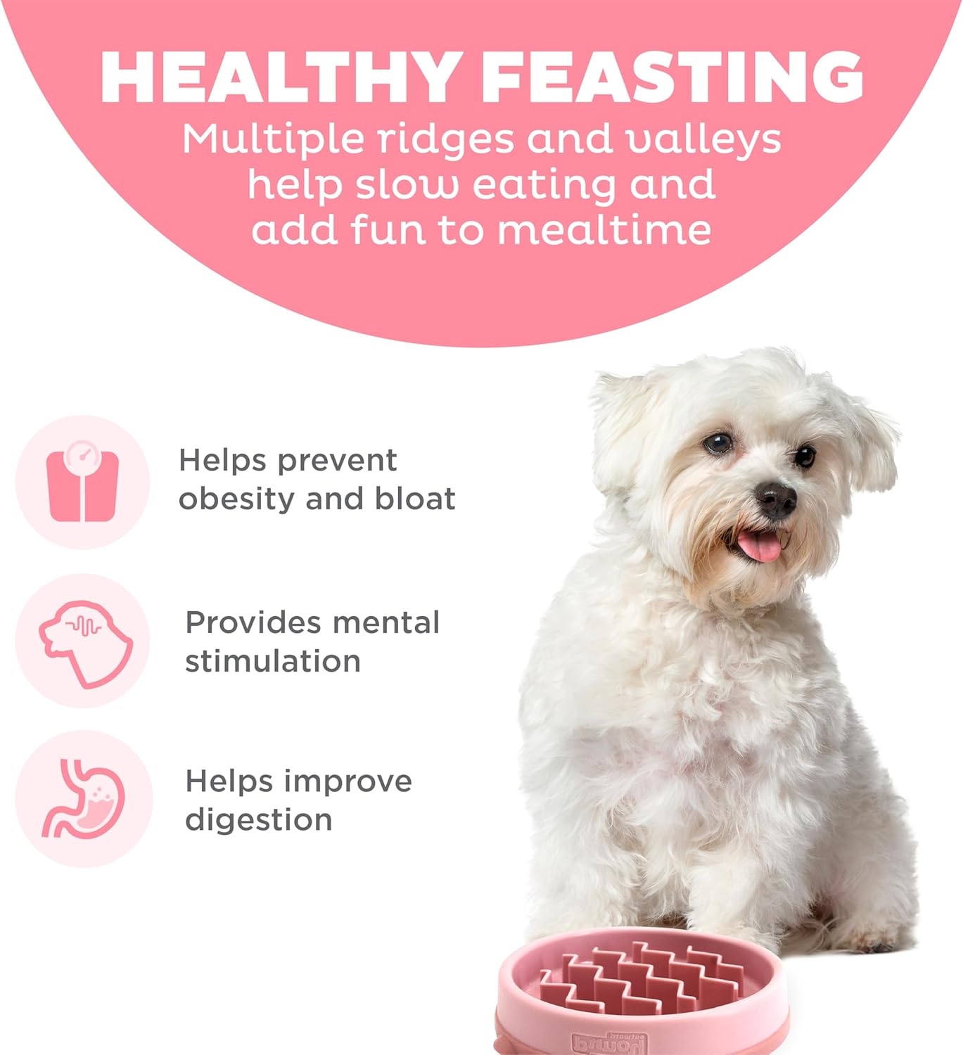 image:imageOutward Hound Medium Slow Feeder Bowl Puzzle Maze for Fast Eaters Small to Medium Dogs Helps Prevent Bloat amp Aid Digestion Holds 2 Cups Wet or Dry Food NonSlip Made Without BPA SagePink