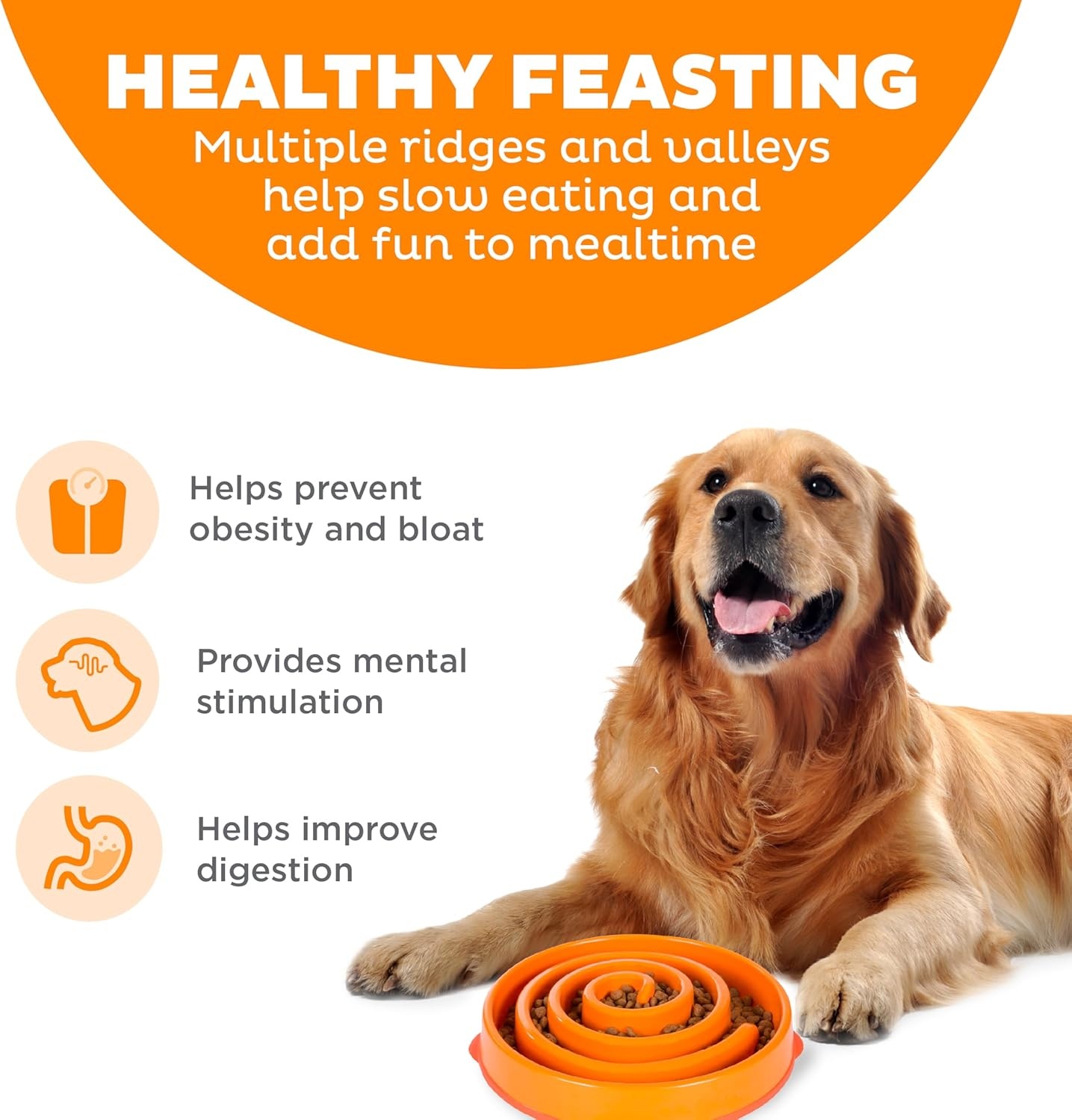 image:imageOutward Hound Medium Slow Feeder Bowl Puzzle Maze for Fast Eaters Small to Medium Dogs Helps Prevent Bloat amp Aid Digestion Holds 2 Cups Wet or Dry Food NonSlip Made Without BPA SageOrange