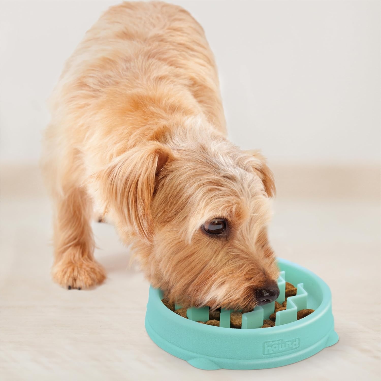 image:imageOutward Hound Medium Slow Feeder Bowl Puzzle Maze for Fast Eaters Small to Medium Dogs Helps Prevent Bloat amp Aid Digestion Holds 2 Cups Wet or Dry Food NonSlip Made Without BPA SageMint