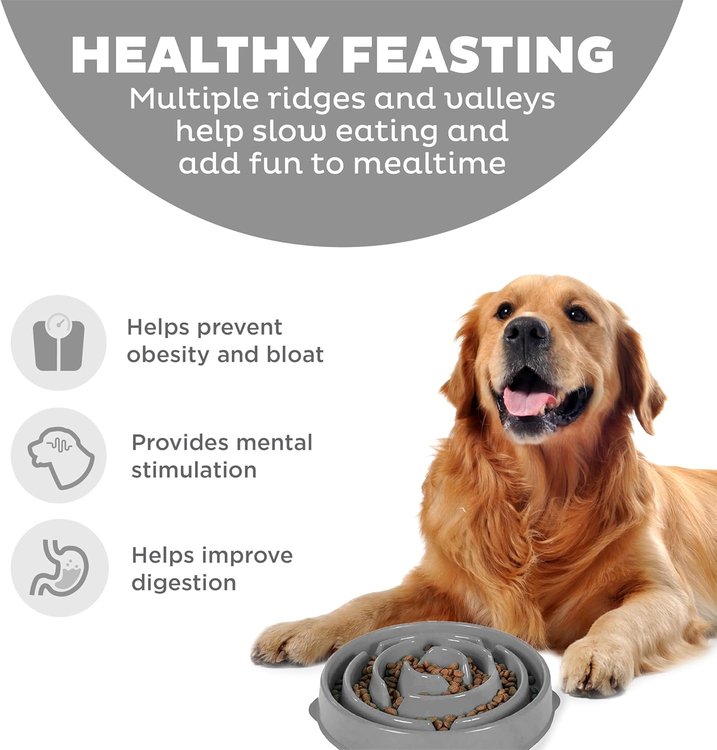 image:imageOutward Hound Medium Slow Feeder Bowl Puzzle Maze for Fast Eaters Small to Medium Dogs Helps Prevent Bloat amp Aid Digestion Holds 2 Cups Wet or Dry Food NonSlip Made Without BPA SageGray