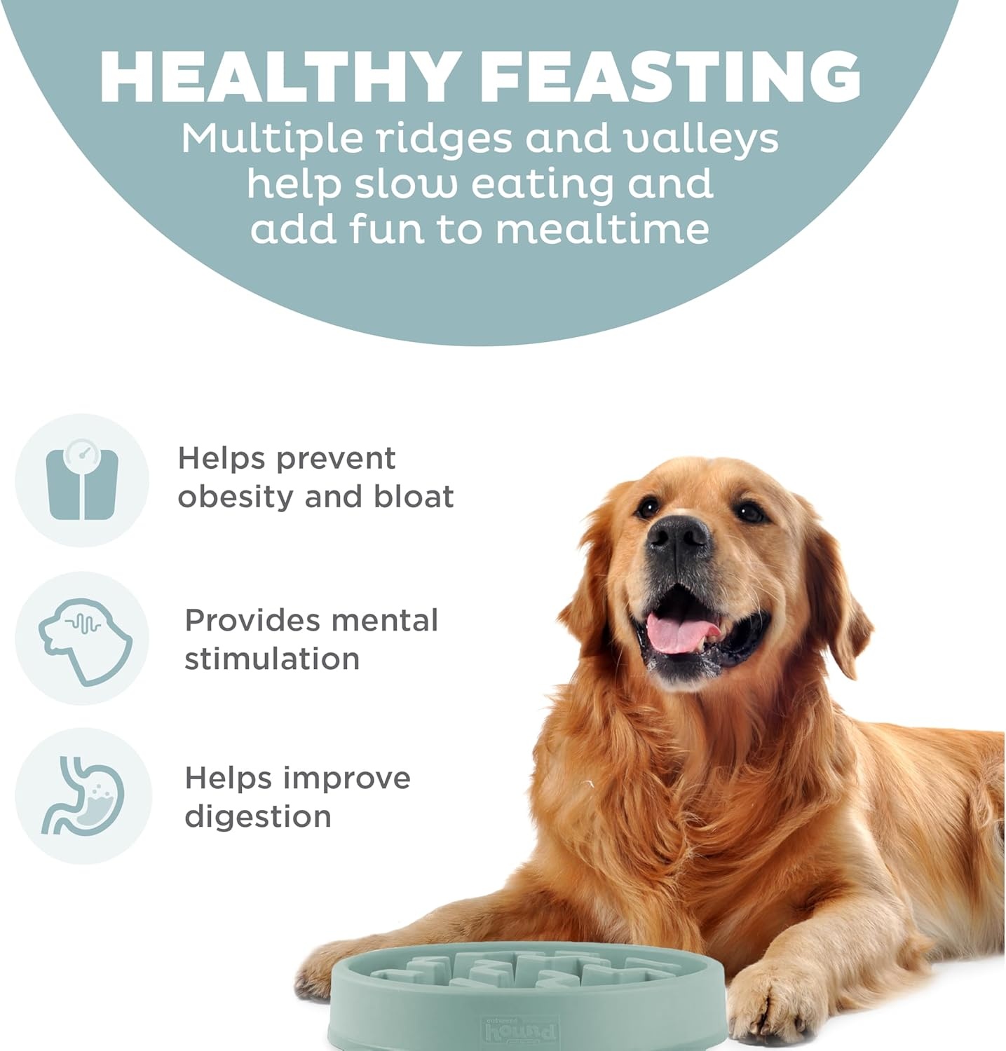 image:imageOutward Hound Medium Slow Feeder Bowl Puzzle Maze for Fast Eaters Small to Medium Dogs Helps Prevent Bloat amp Aid Digestion Holds 2 Cups Wet or Dry Food NonSlip Made Without BPA SageSage