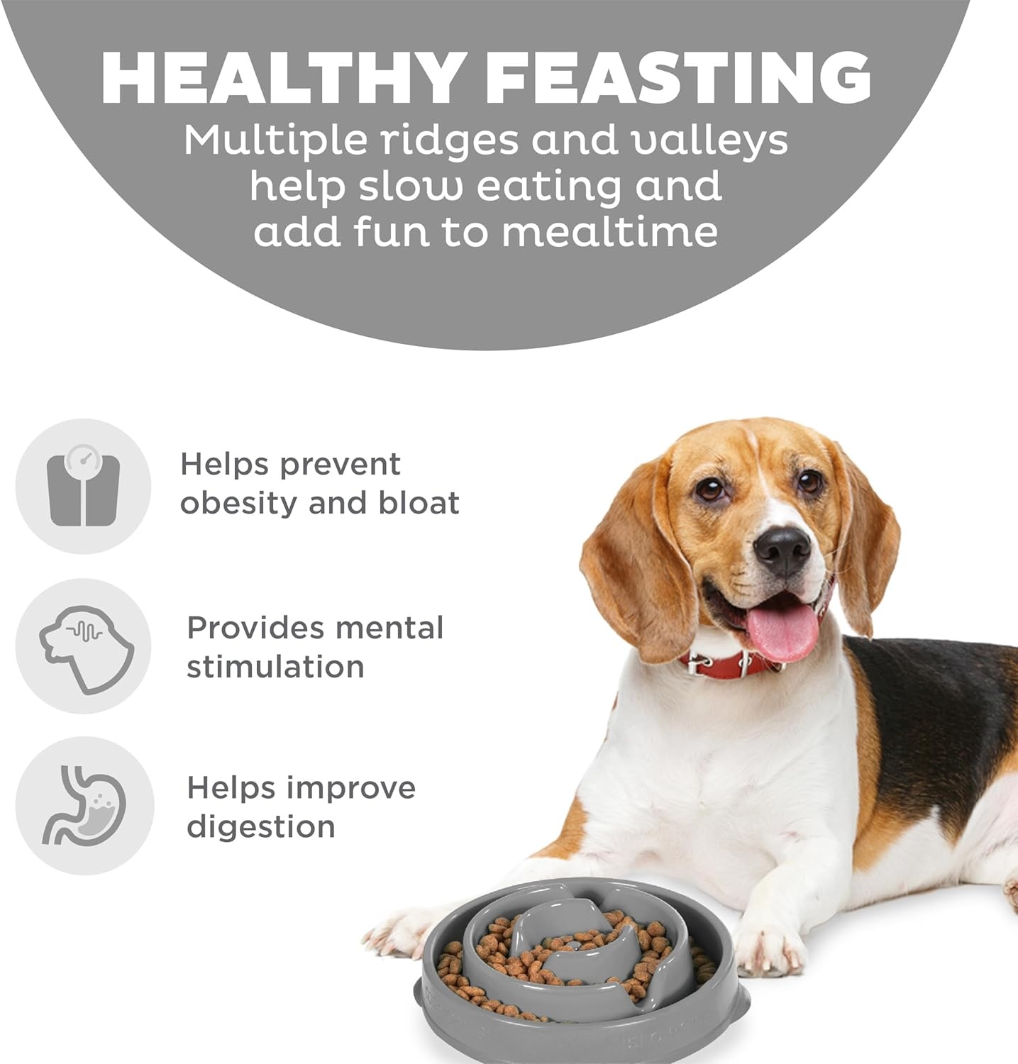 image:imageOutward Hound Medium Slow Feeder Bowl Puzzle Maze for Fast Eaters Small to Medium Dogs Helps Prevent Bloat amp Aid Digestion Holds 2 Cups Wet or Dry Food NonSlip Made Without BPA SageGray