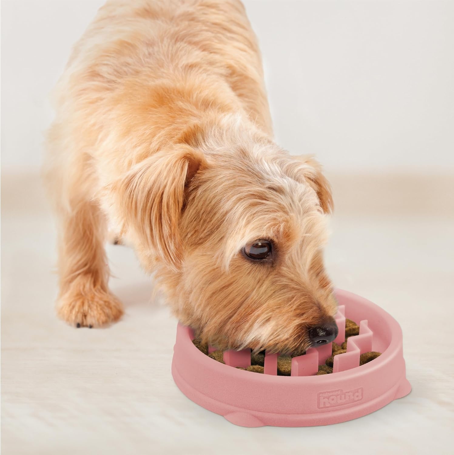 image:imageOutward Hound Medium Slow Feeder Bowl Puzzle Maze for Fast Eaters Small to Medium Dogs Helps Prevent Bloat amp Aid Digestion Holds 2 Cups Wet or Dry Food NonSlip Made Without BPA SagePink
