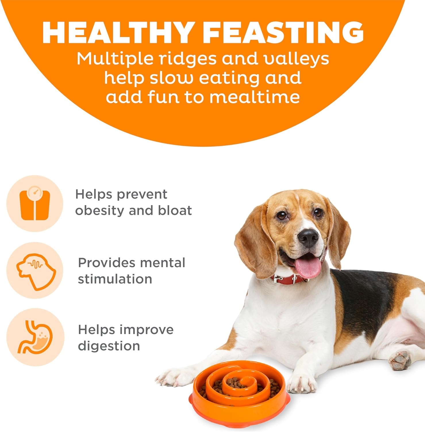 image:imageOutward Hound Medium Slow Feeder Bowl Puzzle Maze for Fast Eaters Small to Medium Dogs Helps Prevent Bloat amp Aid Digestion Holds 2 Cups Wet or Dry Food NonSlip Made Without BPA SageOrange