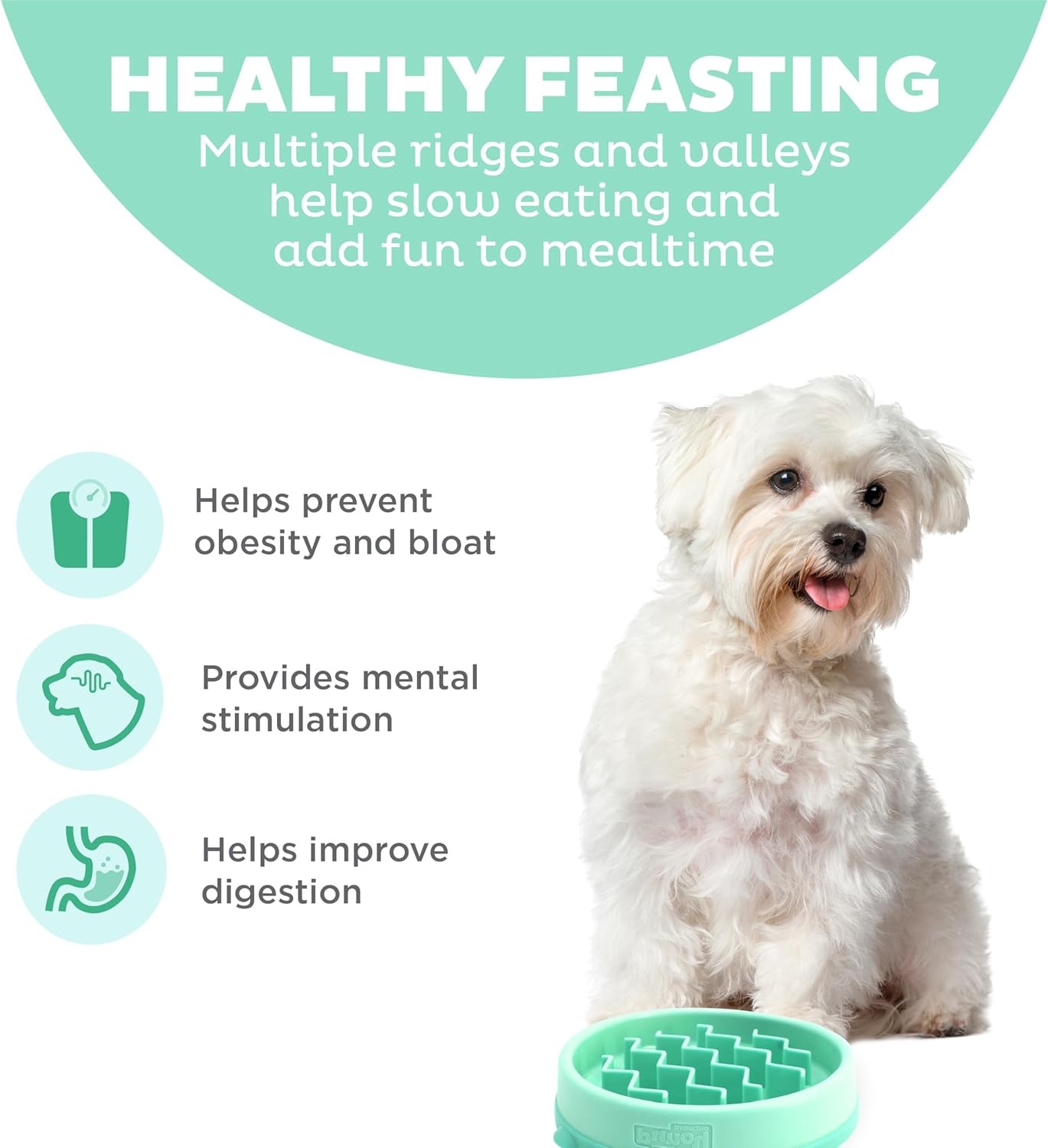 image:imageOutward Hound Medium Slow Feeder Bowl Puzzle Maze for Fast Eaters Small to Medium Dogs Helps Prevent Bloat amp Aid Digestion Holds 2 Cups Wet or Dry Food NonSlip Made Without BPA SageMint