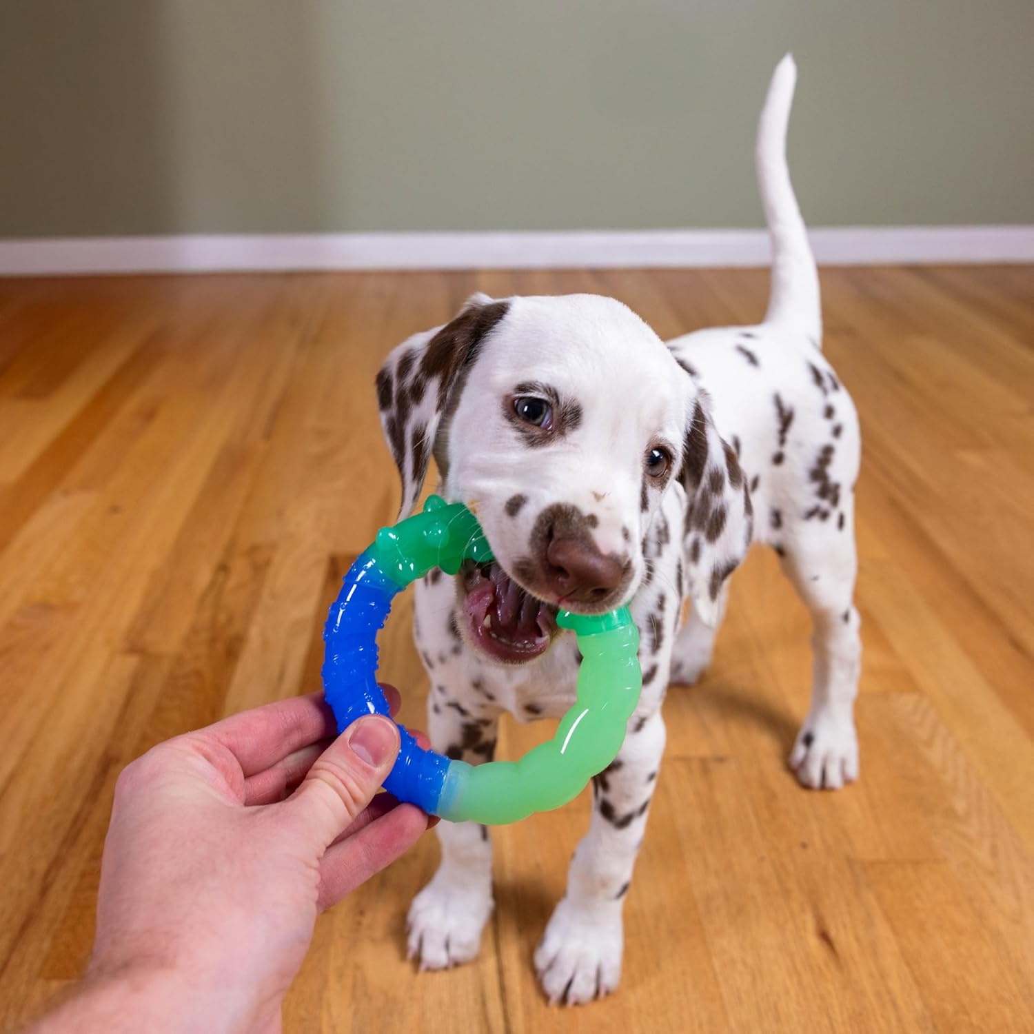 image:imageOutward Hound New Puppy Welcome Kit Lickin Layers Hide N Slide GrowwithMe Ring Donut Plush Toys amp Puzzle Bitez Peanut Butter Treats for Puppies