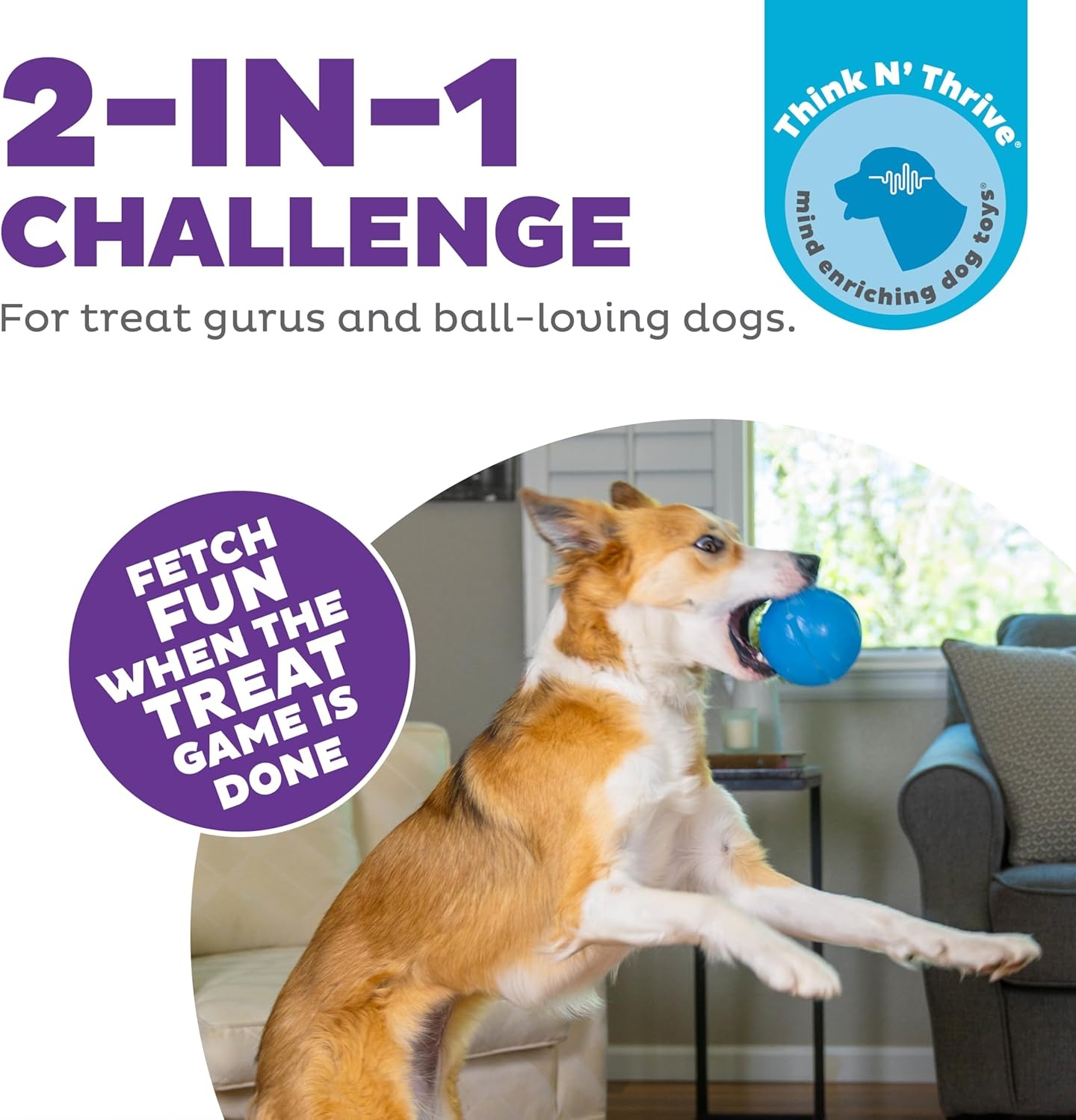 image:imageOutward Hound OrbeeTuff Mazee Interactive Dog Puzzle Toy Treat Dispensing Slow Feeder Ball Green 47InchBlue