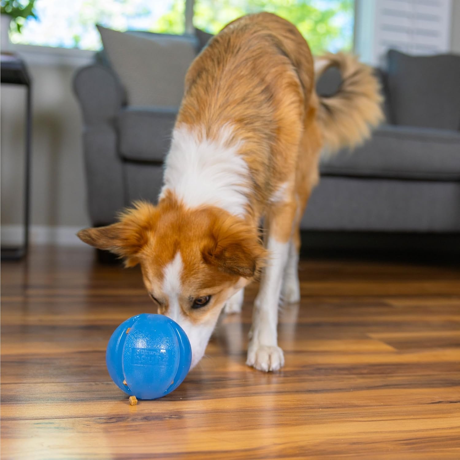 image:imageOutward Hound OrbeeTuff Mazee Interactive Dog Puzzle Toy Treat Dispensing Slow Feeder Ball Green 47InchBlue