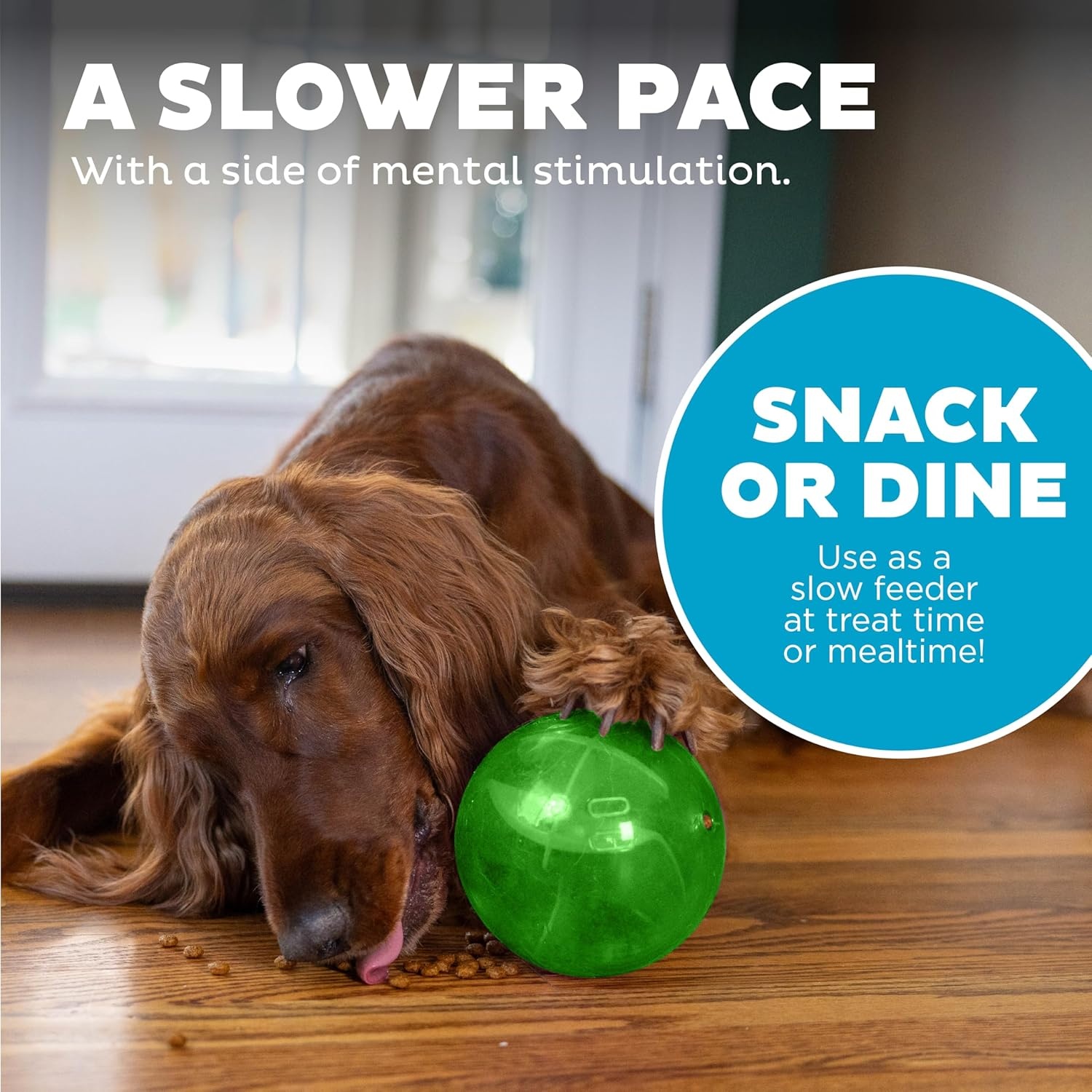 image:imageOutward Hound OrbeeTuff Mazee Interactive Dog Puzzle Toy Treat Dispensing Slow Feeder Ball Green 47InchGreen