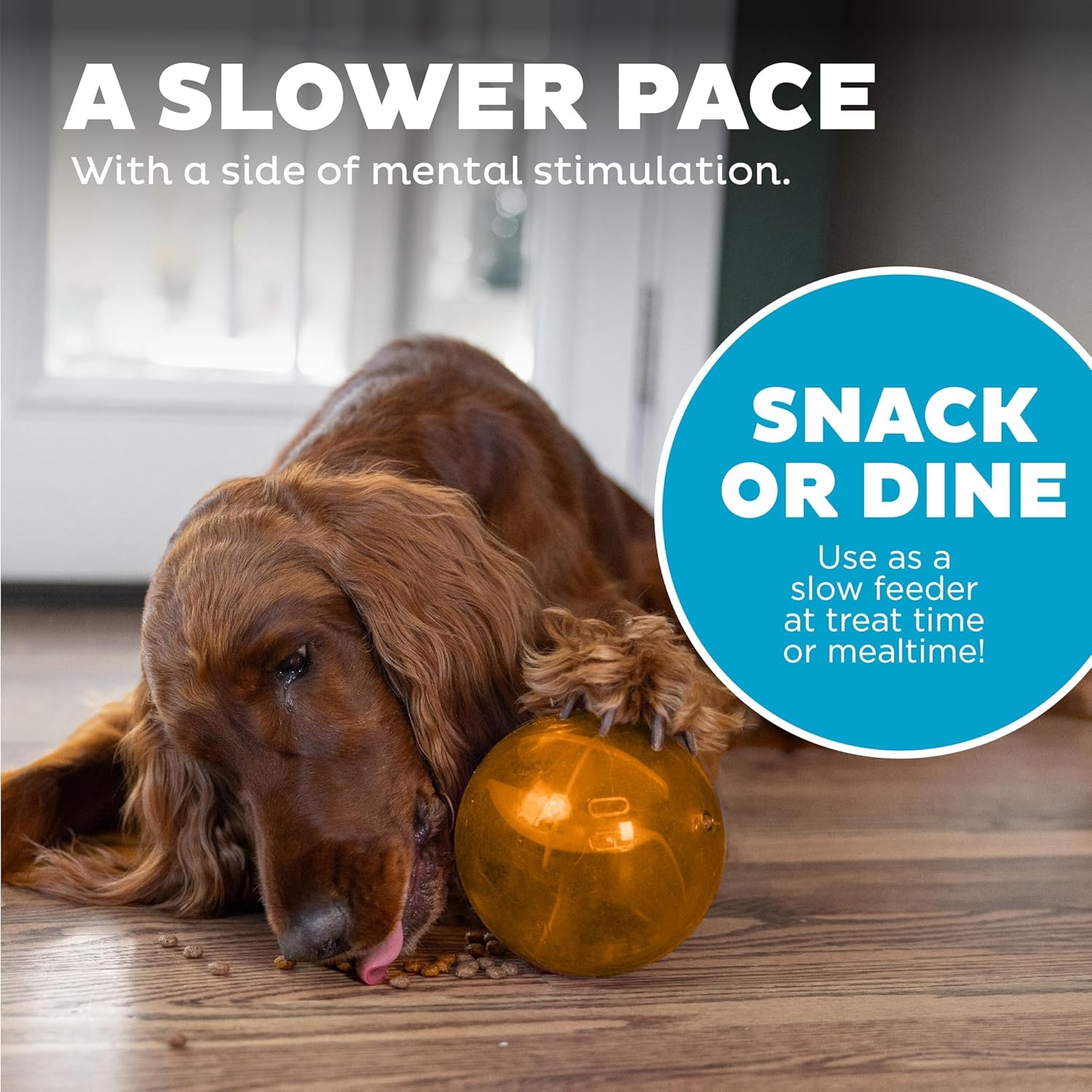 image:imageOutward Hound OrbeeTuff Mazee Interactive Dog Puzzle Toy Treat Dispensing Slow Feeder Ball Green 47InchOrange