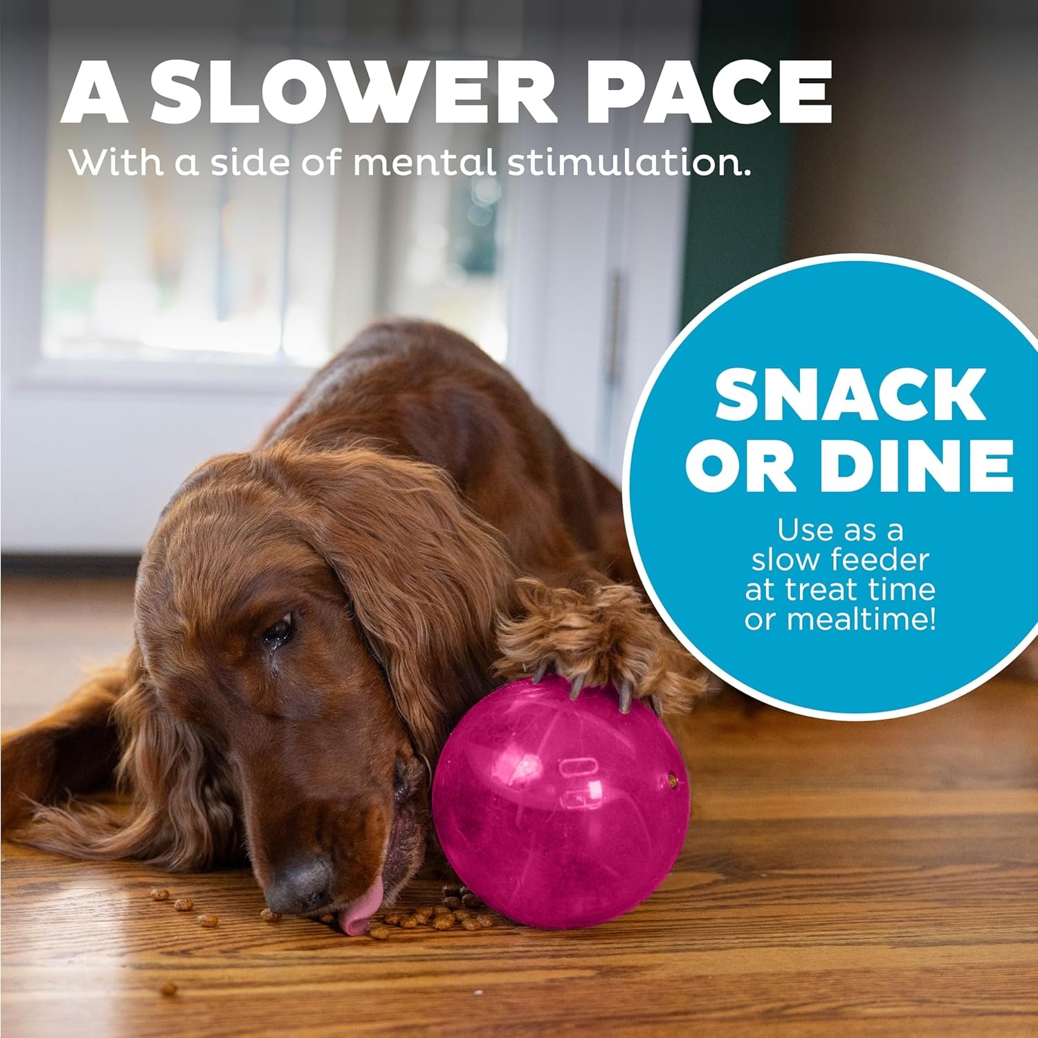 image:imageOutward Hound OrbeeTuff Mazee Interactive Dog Puzzle Toy Treat Dispensing Slow Feeder Ball Green 47InchPink