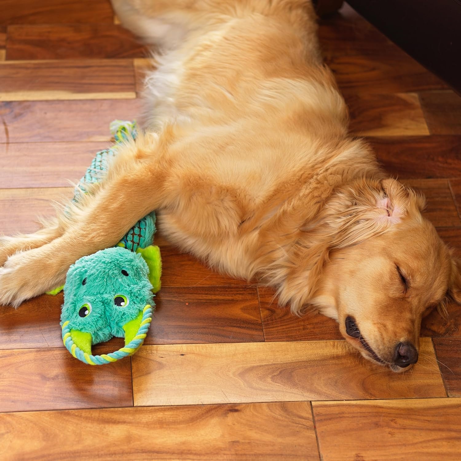 image:imageOutward Hound Ropiez Rope Interactive Dog Tug Toy for Tugging Squeaky Fun 236 Inch Mallard Green LargeRopiez Dragon