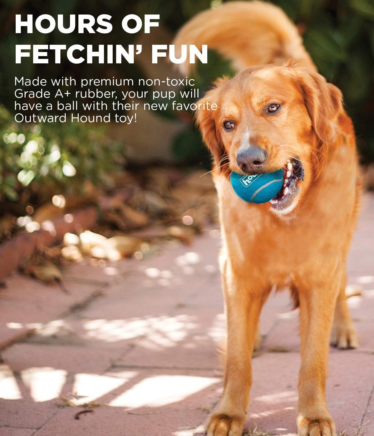 image:imageOutward Hound Tennis Ballz Fetch Dog Toy 4Pack