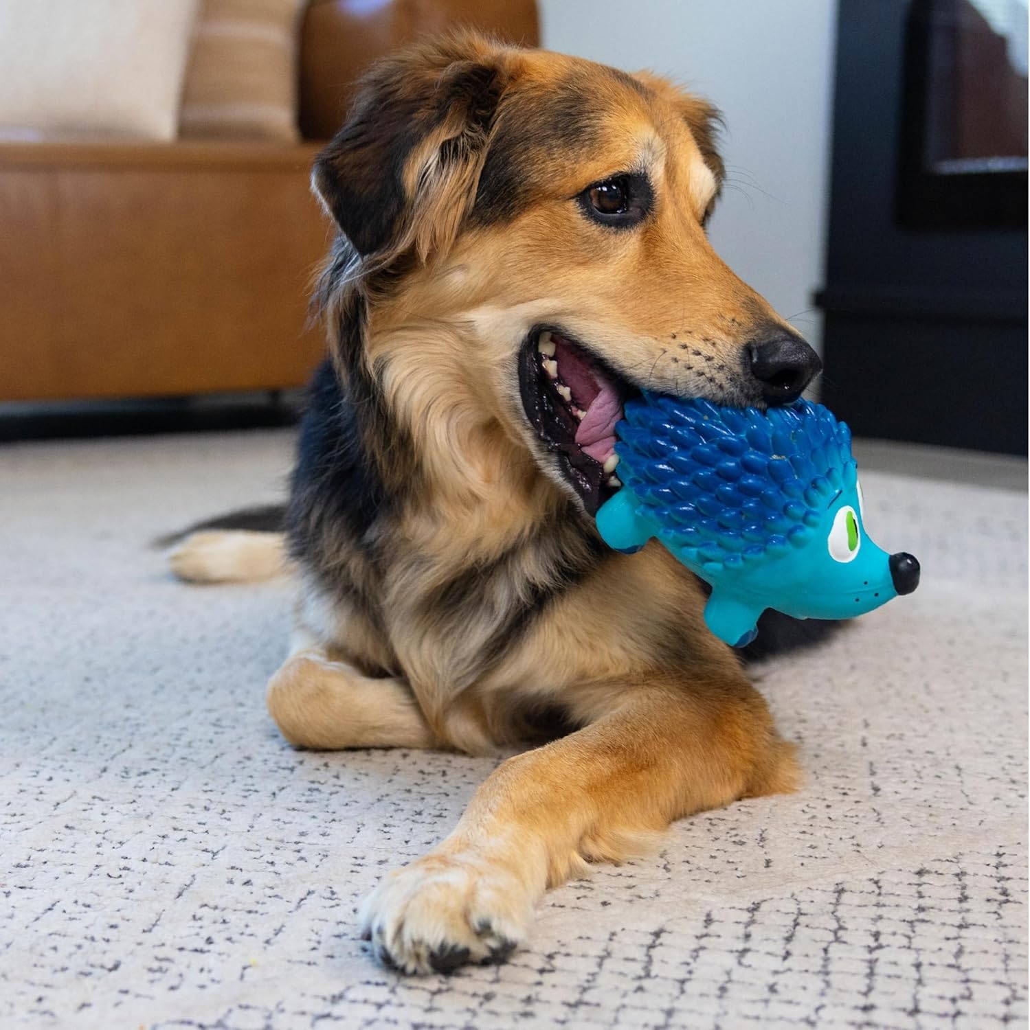 image:imageOutward Hound Tootiez Sheep Grunting Latex Rubber Dog Toy SmallBlue