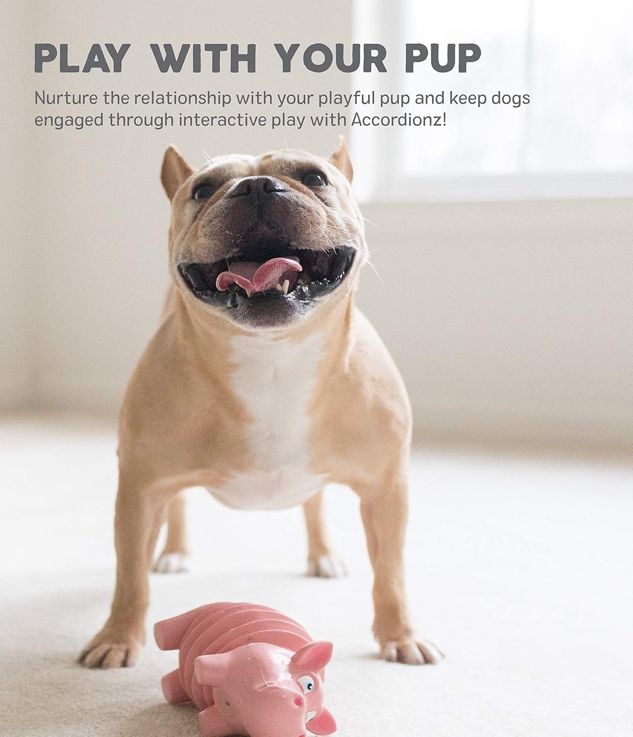 image:imageOutward Hound Tootiez Sheep Grunting Latex Rubber Dog Toy SmallGator