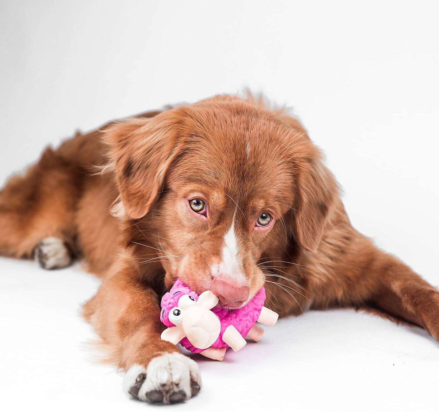 image:imageOutward Hound Tootiez Sheep Grunting Latex Rubber Dog Toy SmallPink