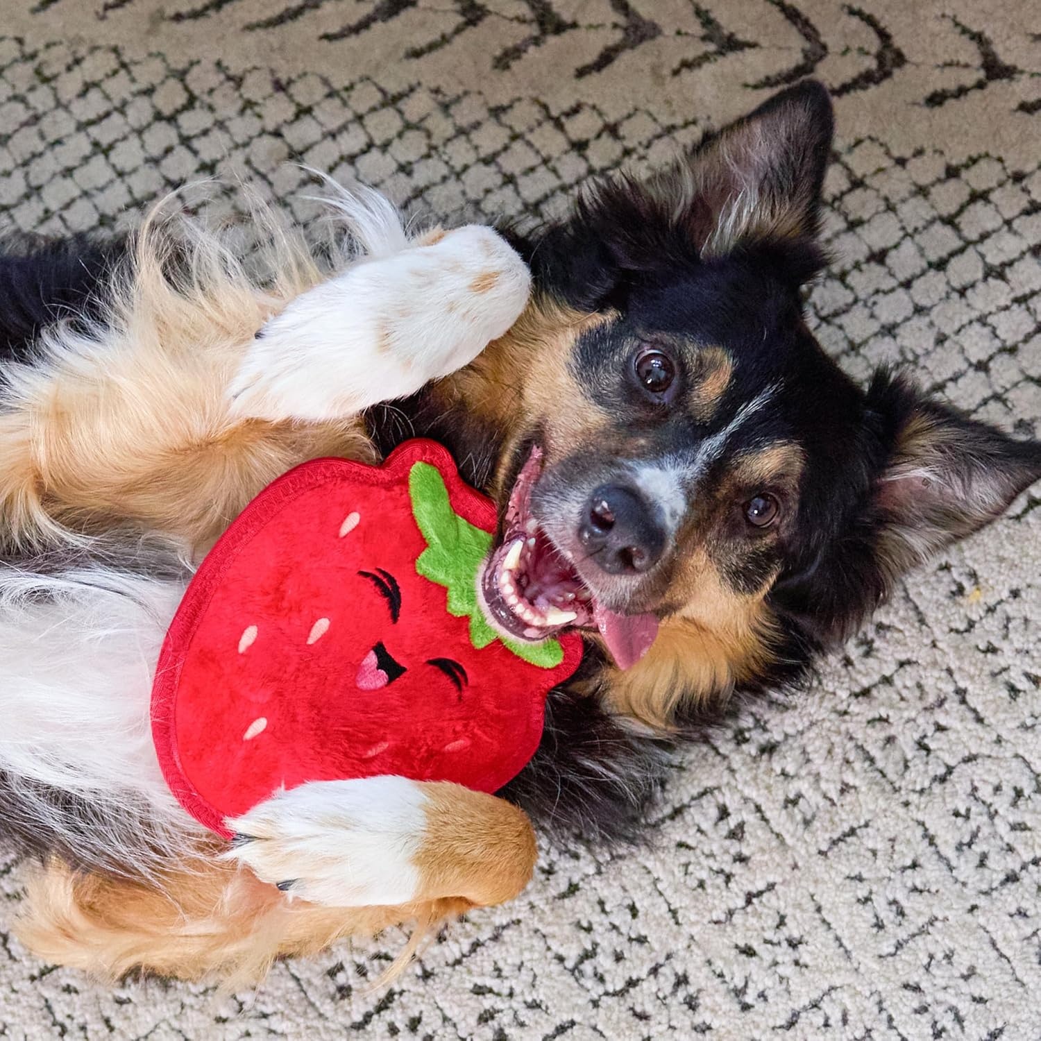 image:imageOutward Hound Tough Skinz Durable Squeaky Dog Toy with Two Tough Layers Strawberry Red MediumStrawberry