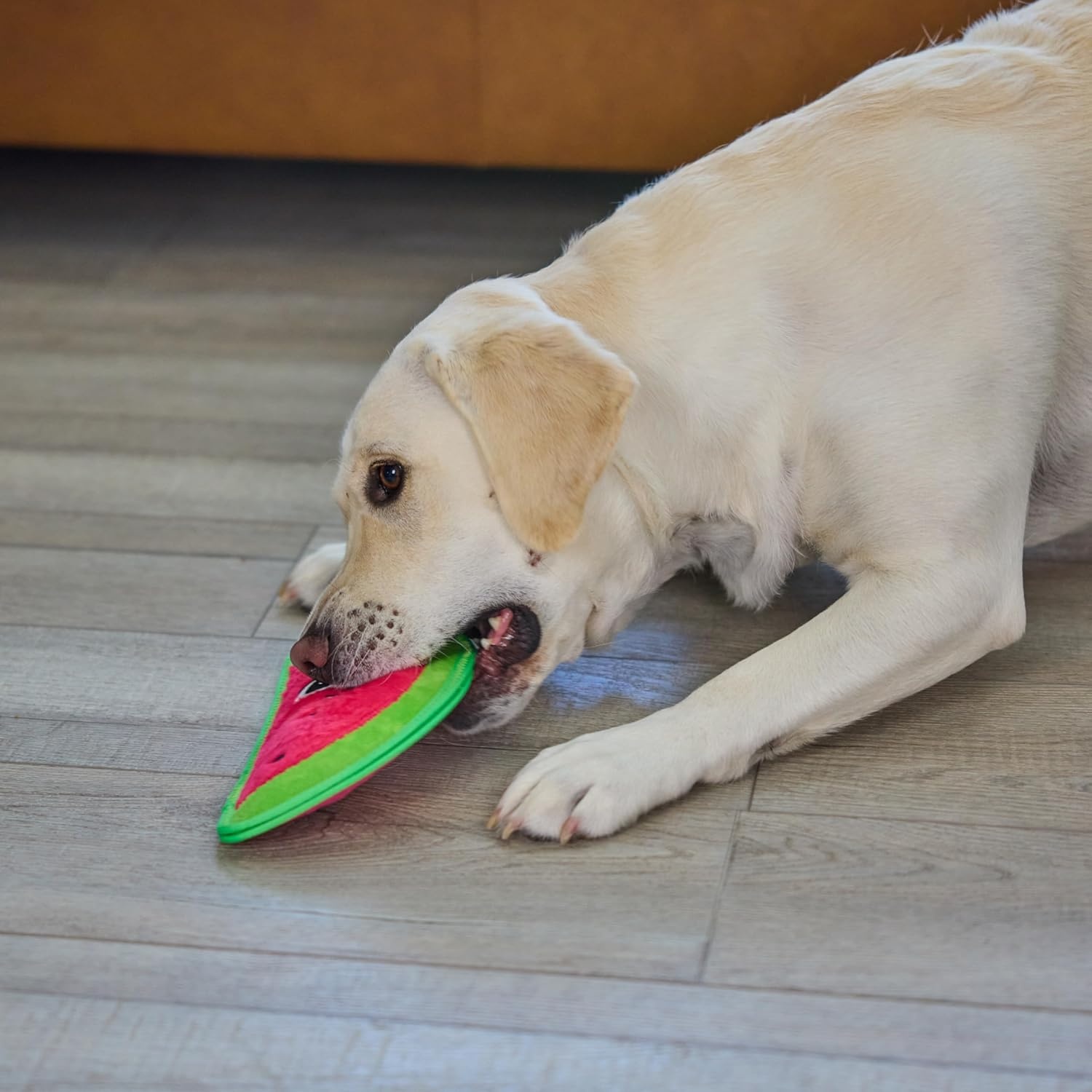 image:imageOutward Hound Tough Skinz Durable Squeaky Dog Toy with Two Tough Layers Strawberry Red MediumWatermelon