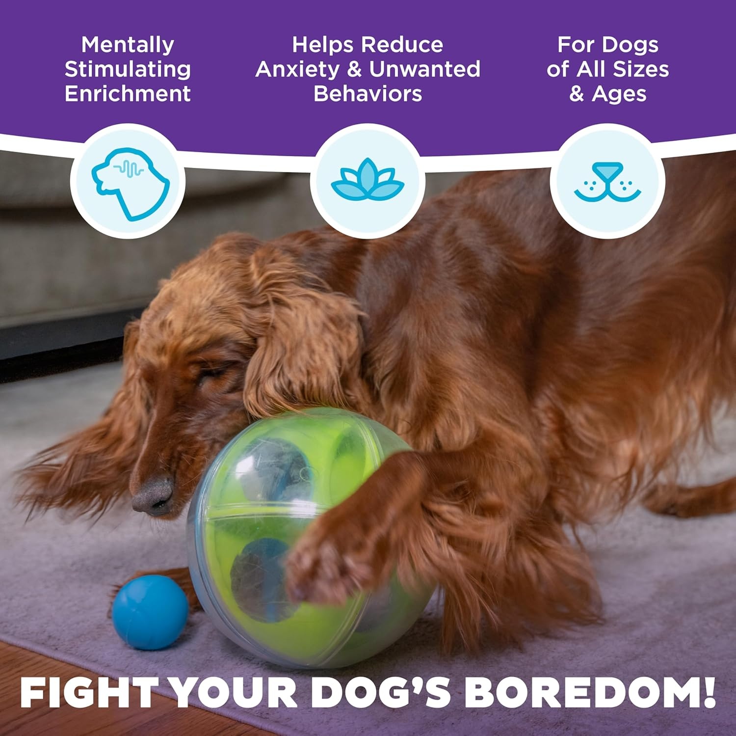 image:imageOutward Hound by Nina Ottosson AMaze Ball Dog Treat Puzzle Ball Level 2 Intermediate 846 Diameter GreenAMaze Ball Blue Green