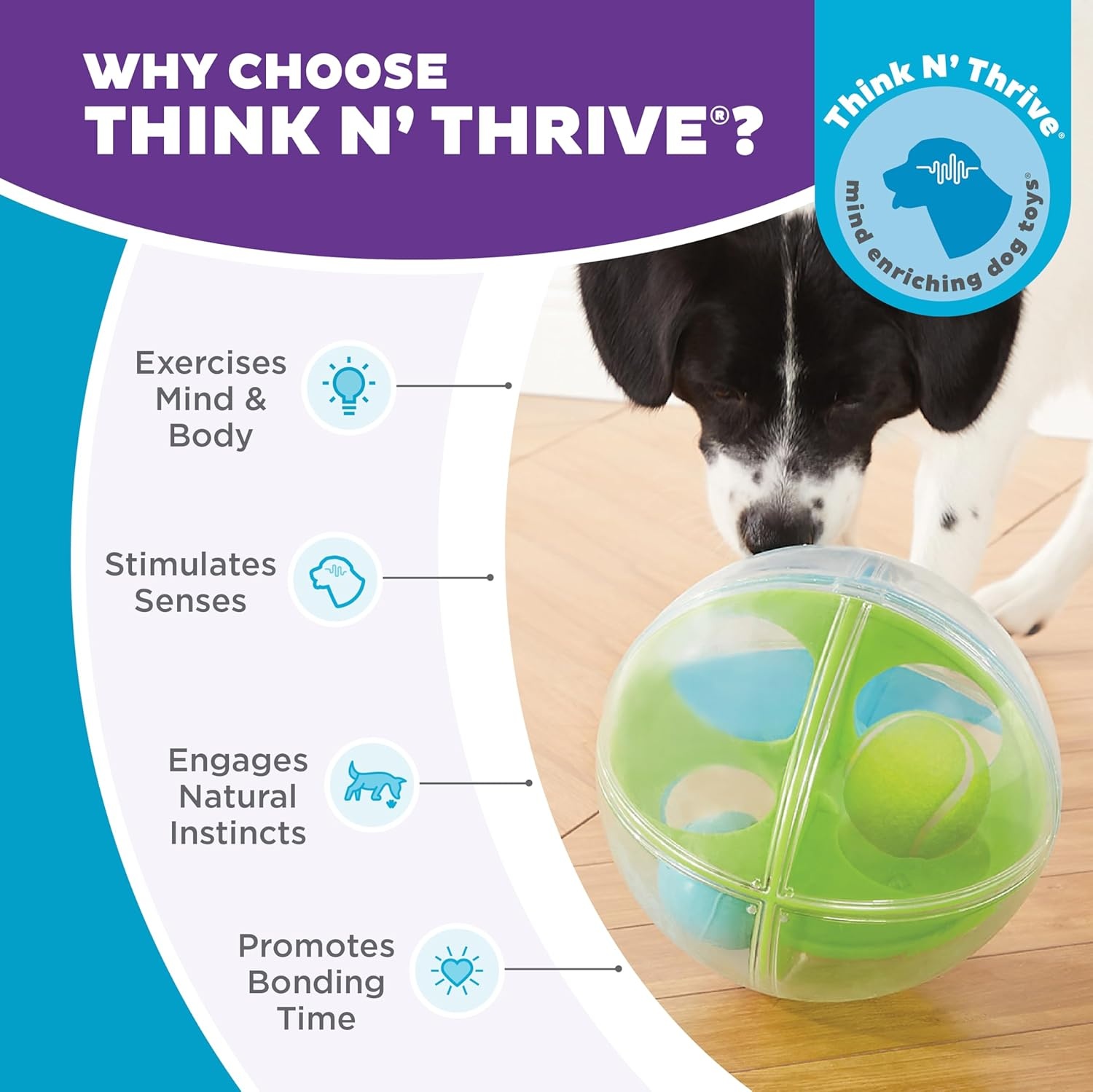 image:imageOutward Hound by Nina Ottosson AMaze Ball Dog Treat Puzzle Ball Level 2 Intermediate 846 Diameter GreenAMaze Ball Blue Green