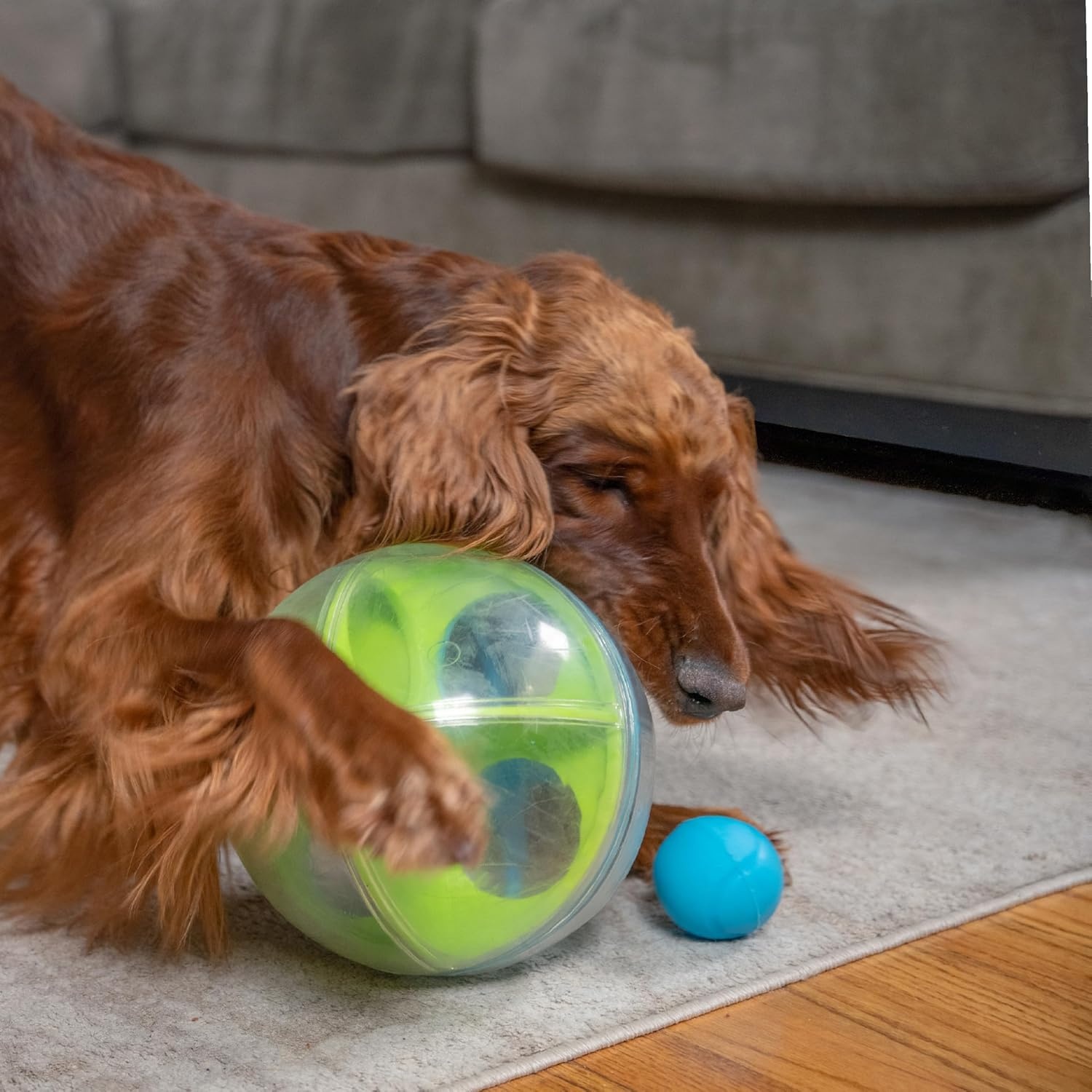 image:imageOutward Hound by Nina Ottosson AMaze Ball Dog Treat Puzzle Ball Level 2 Intermediate 846 Diameter GreenAMaze Ball Blue Green