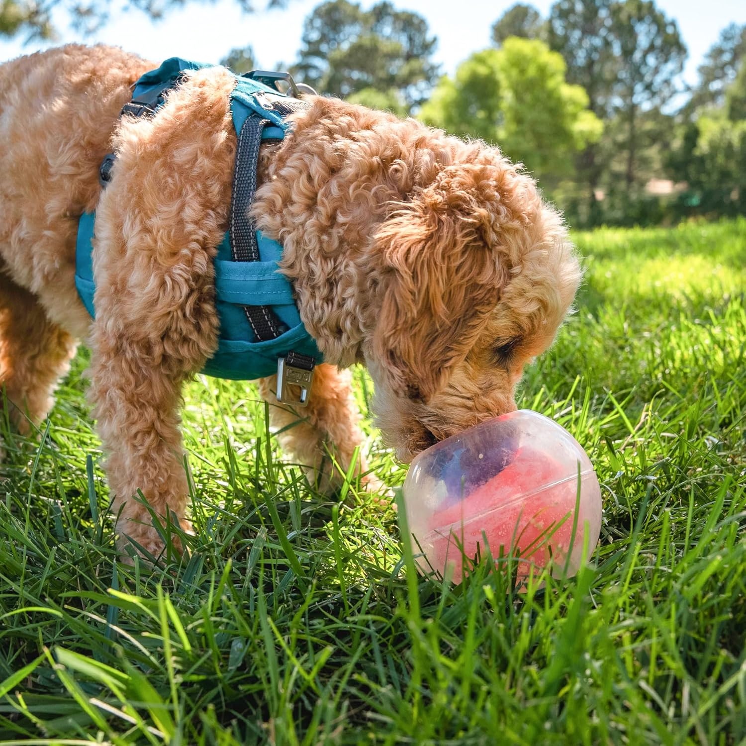 image:imageOutward Hound by Nina Ottosson AMaze Ball Dog Treat Puzzle Ball Level 2 Intermediate 846 Diameter GreenBlue