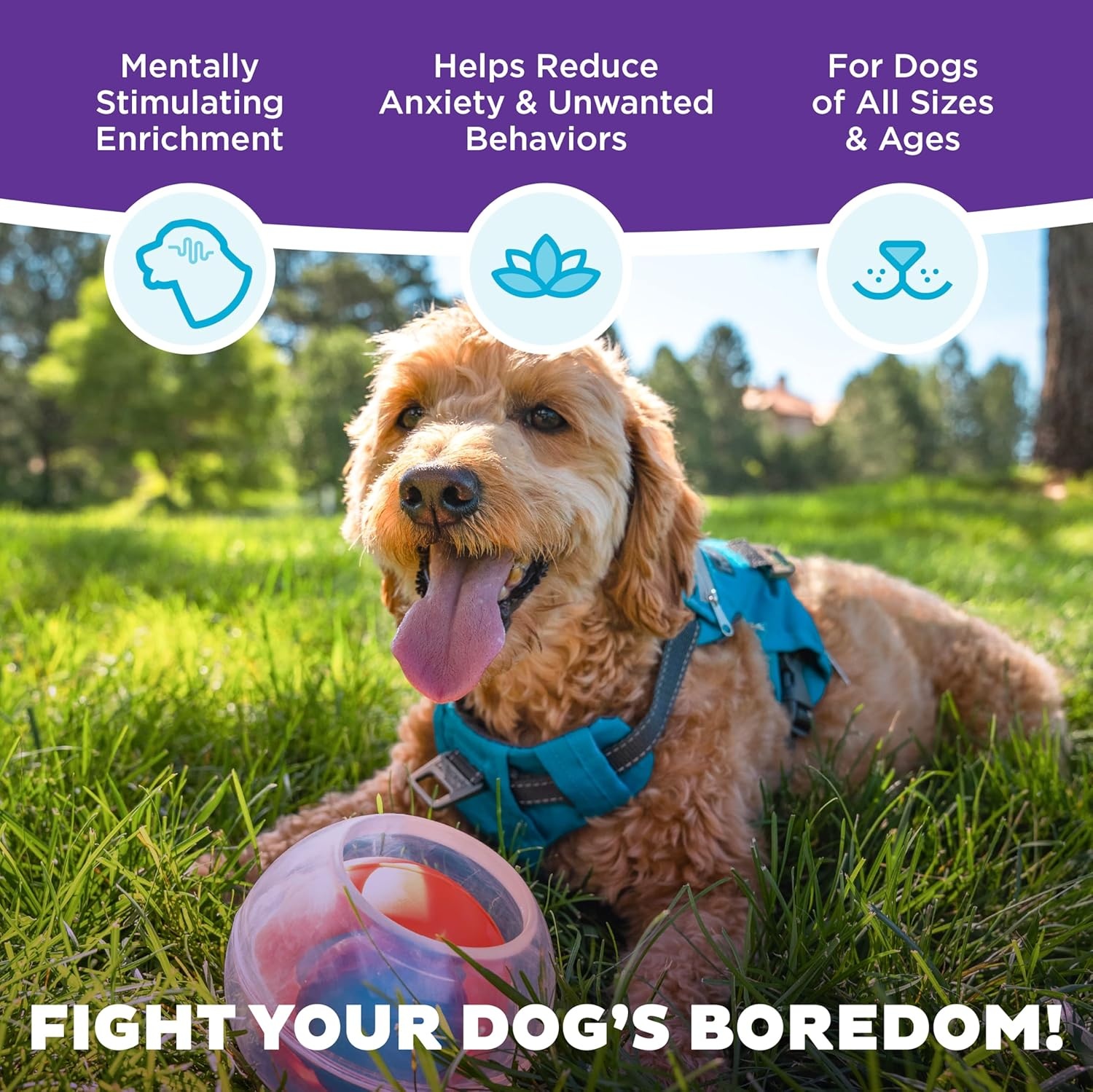 image:imageOutward Hound by Nina Ottosson AMaze Ball Dog Treat Puzzle Ball Level 2 Intermediate 846 Diameter GreenBlue