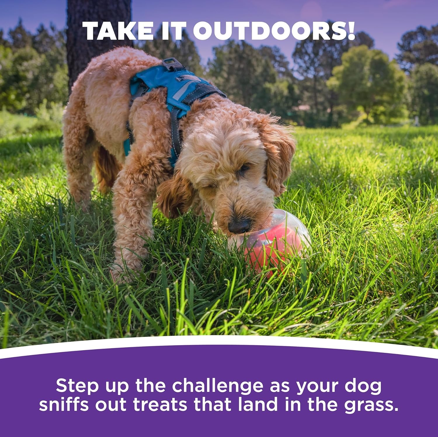 image:imageOutward Hound by Nina Ottosson AMaze Ball Dog Treat Puzzle Ball Level 2 Intermediate 846 Diameter GreenBlue