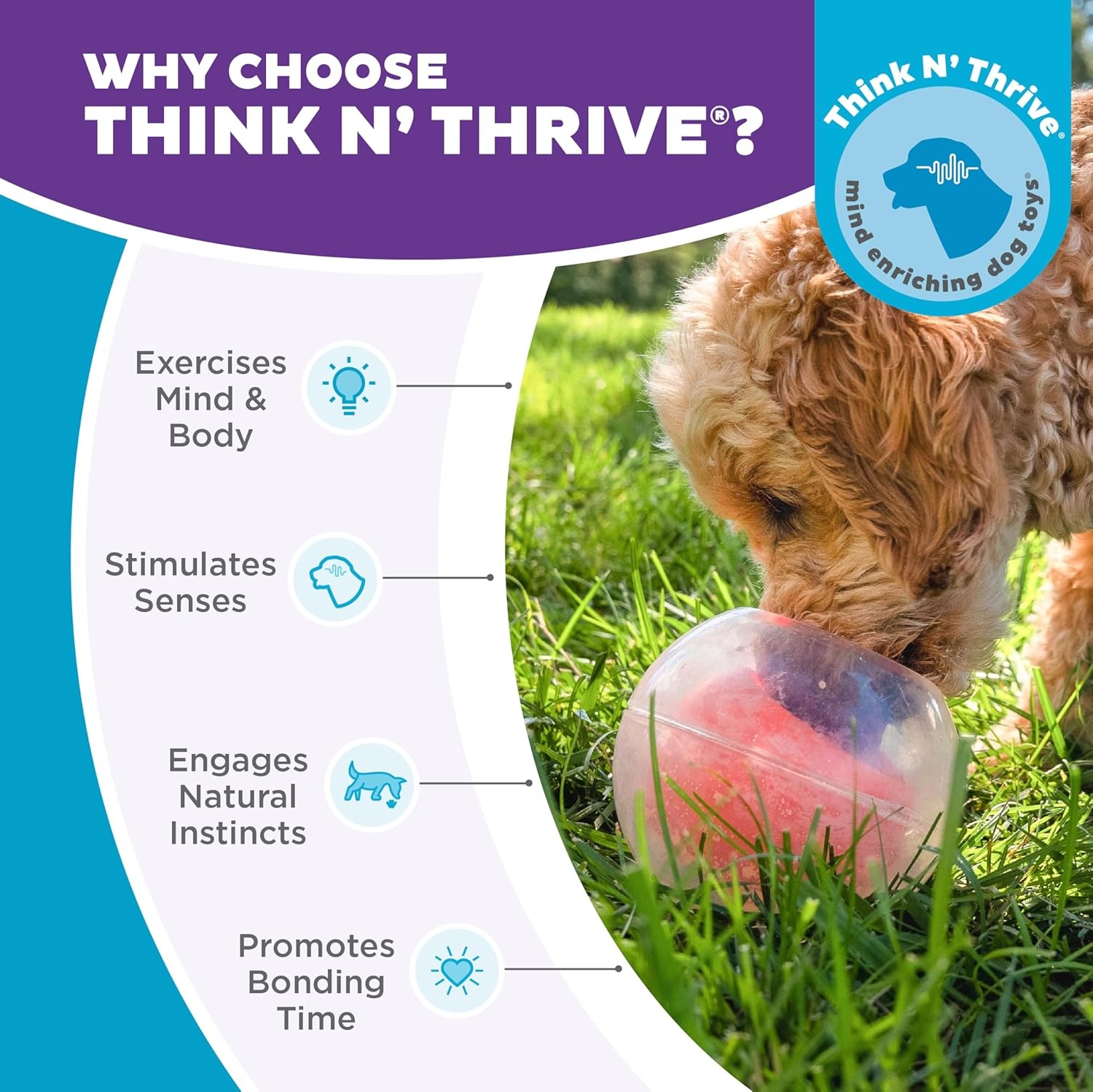 image:imageOutward Hound by Nina Ottosson AMaze Ball Dog Treat Puzzle Ball Level 2 Intermediate 846 Diameter GreenBlue