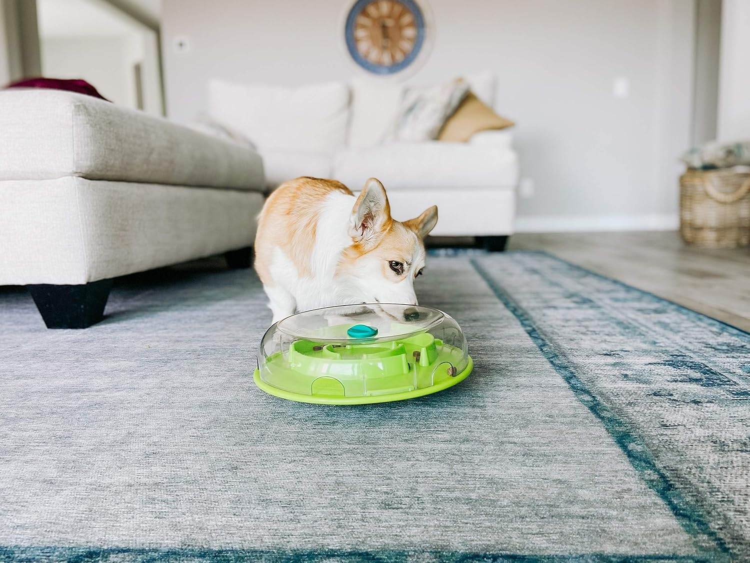 image:imageOutward Hound by Nina Ottosson AMaze Ball Dog Treat Puzzle Ball Level 2 Intermediate 846 Diameter GreenWobble Bowl Green