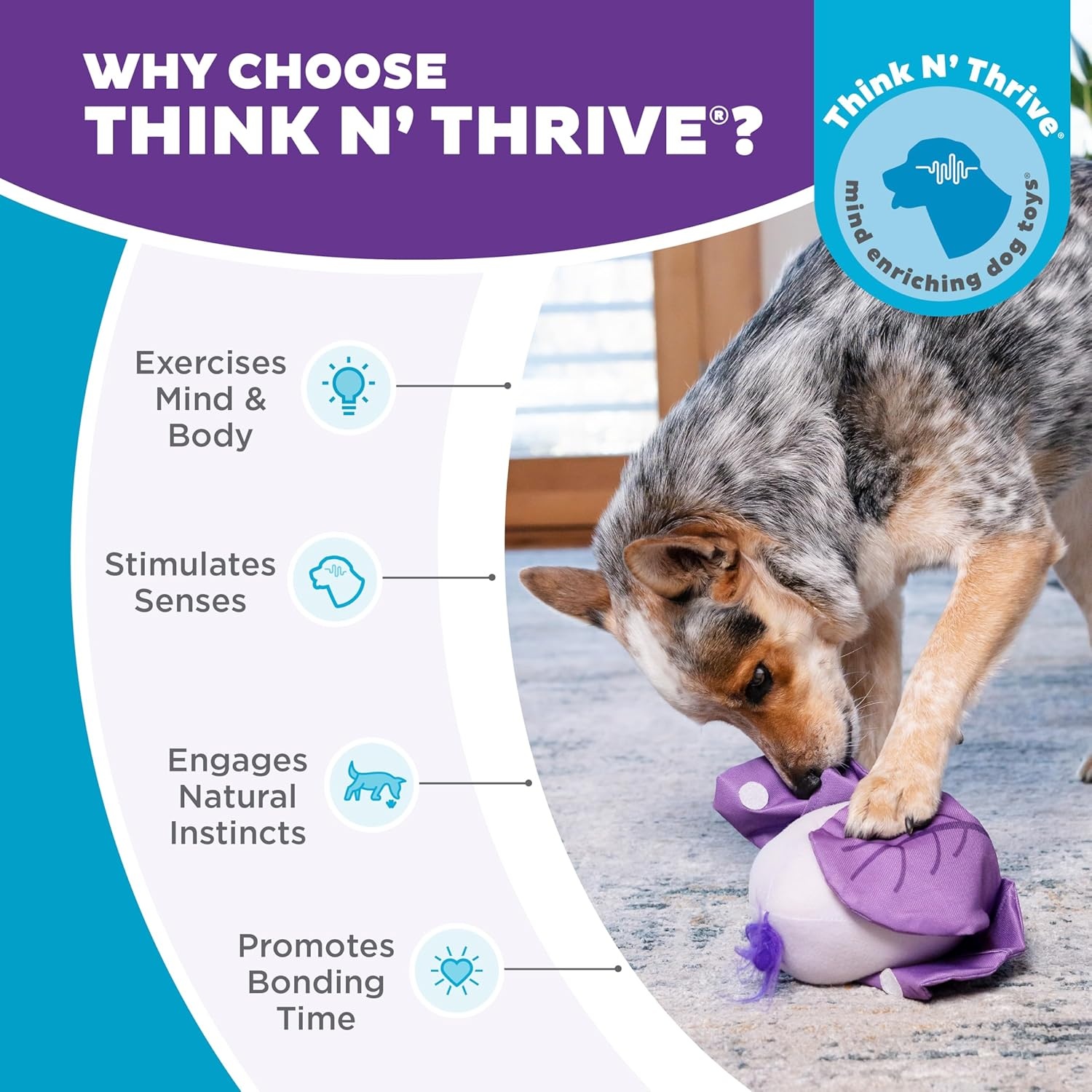 image:imageOutward Hound by Nina Ottosson Hide N Find Interactive Plush Dog Puzzle Durable Dog Toy Plush Enrichment Toys Cauliflower PurpleHide N Find Cauliflower