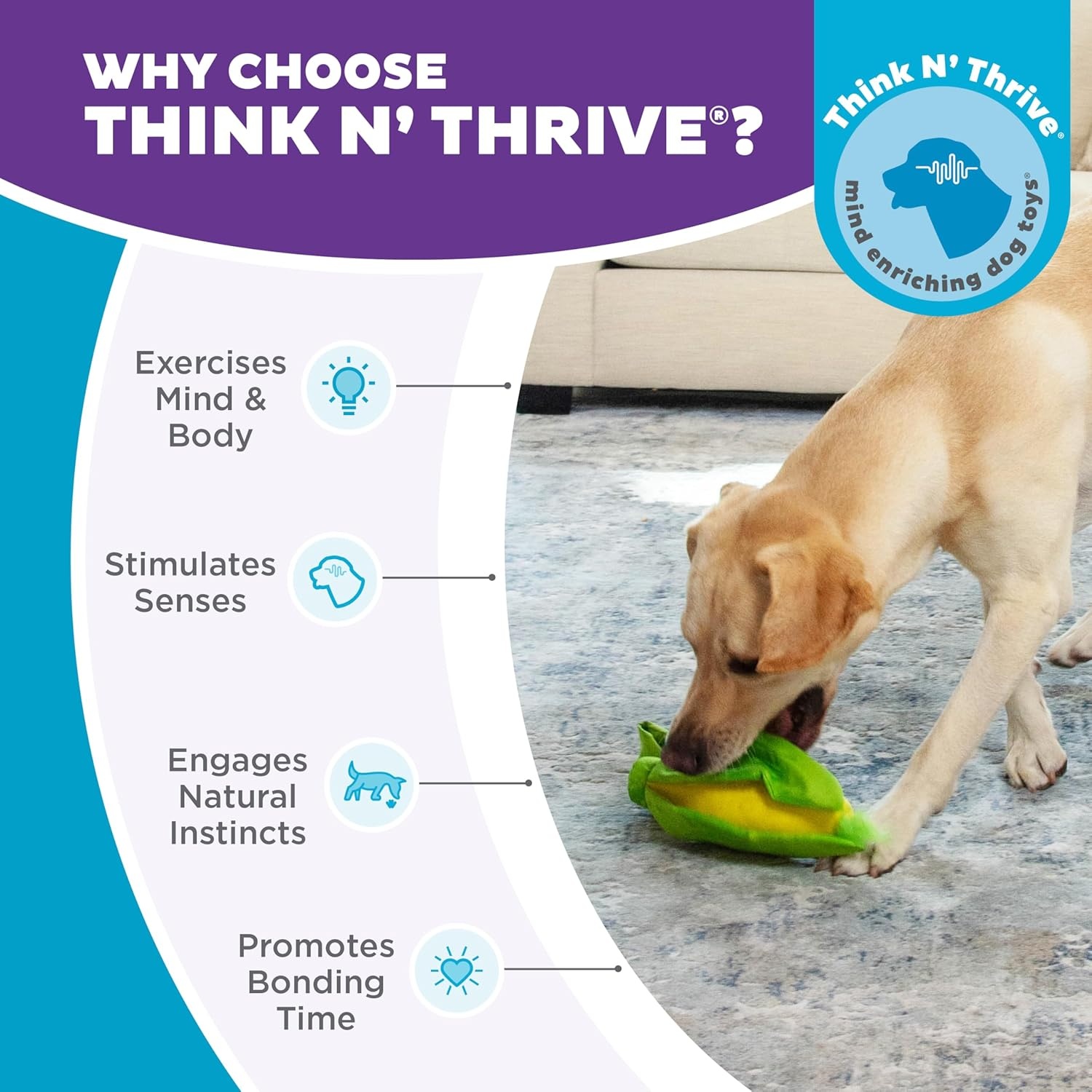 image:imageOutward Hound by Nina Ottosson Hide N Find Interactive Plush Dog Puzzle Durable Dog Toy Plush Enrichment Toys Cauliflower PurpleHide N Find Corn