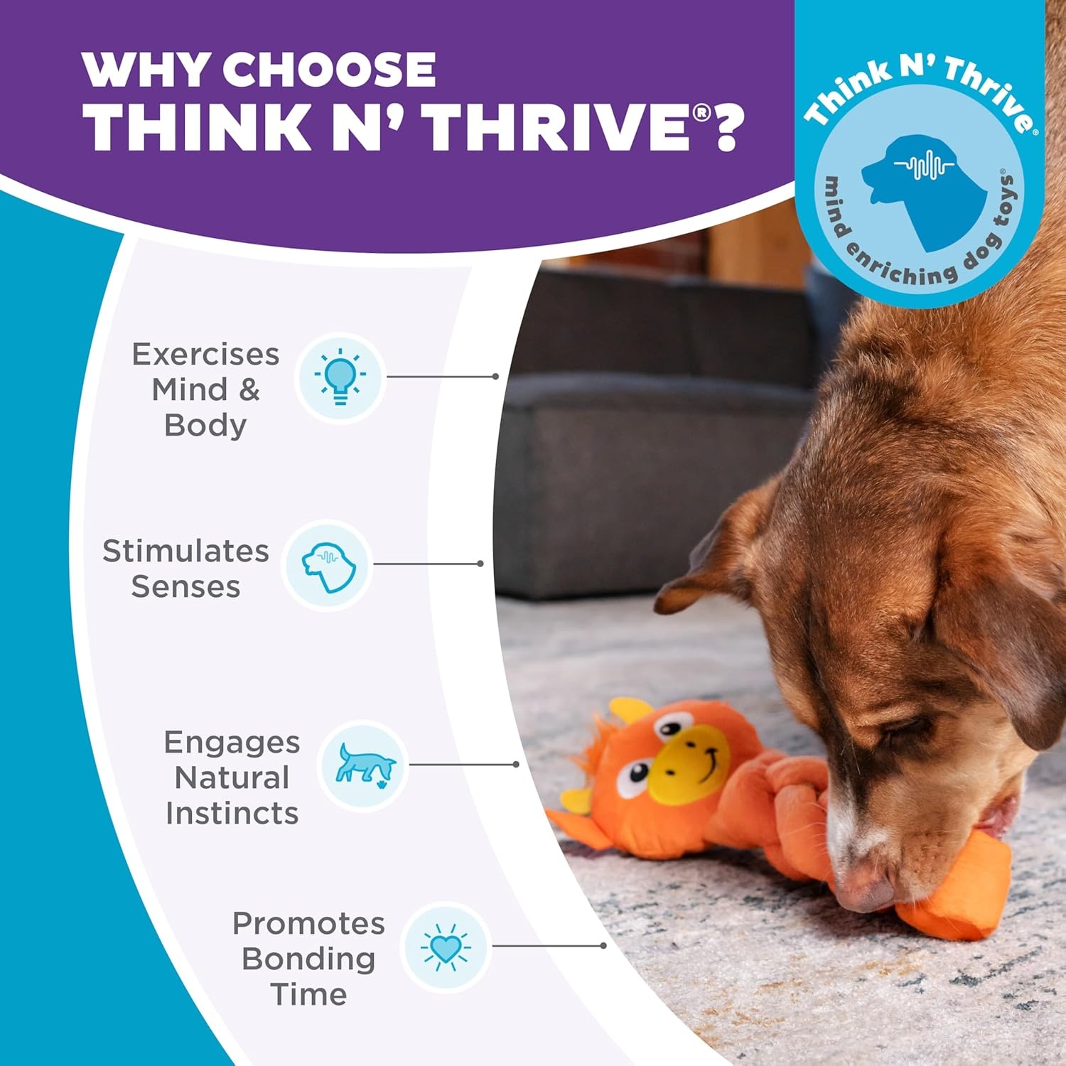 image:imageOutward Hound by Nina Ottosson Hide N Find Interactive Plush Dog Puzzle Durable Dog Toy Plush Enrichment Toys Cauliflower PurpleTwistiez Dragon