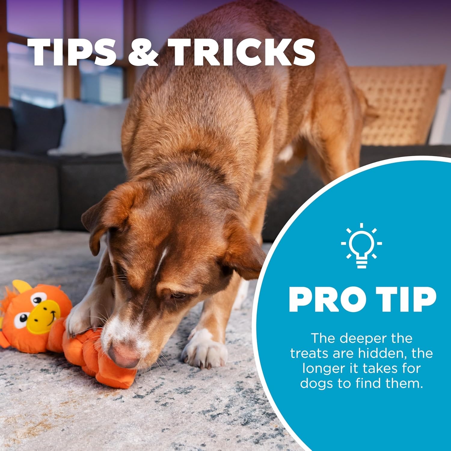 image:imageOutward Hound by Nina Ottosson Hide N Find Interactive Plush Dog Puzzle Durable Dog Toy Plush Enrichment Toys Cauliflower PurpleTwistiez Dragon