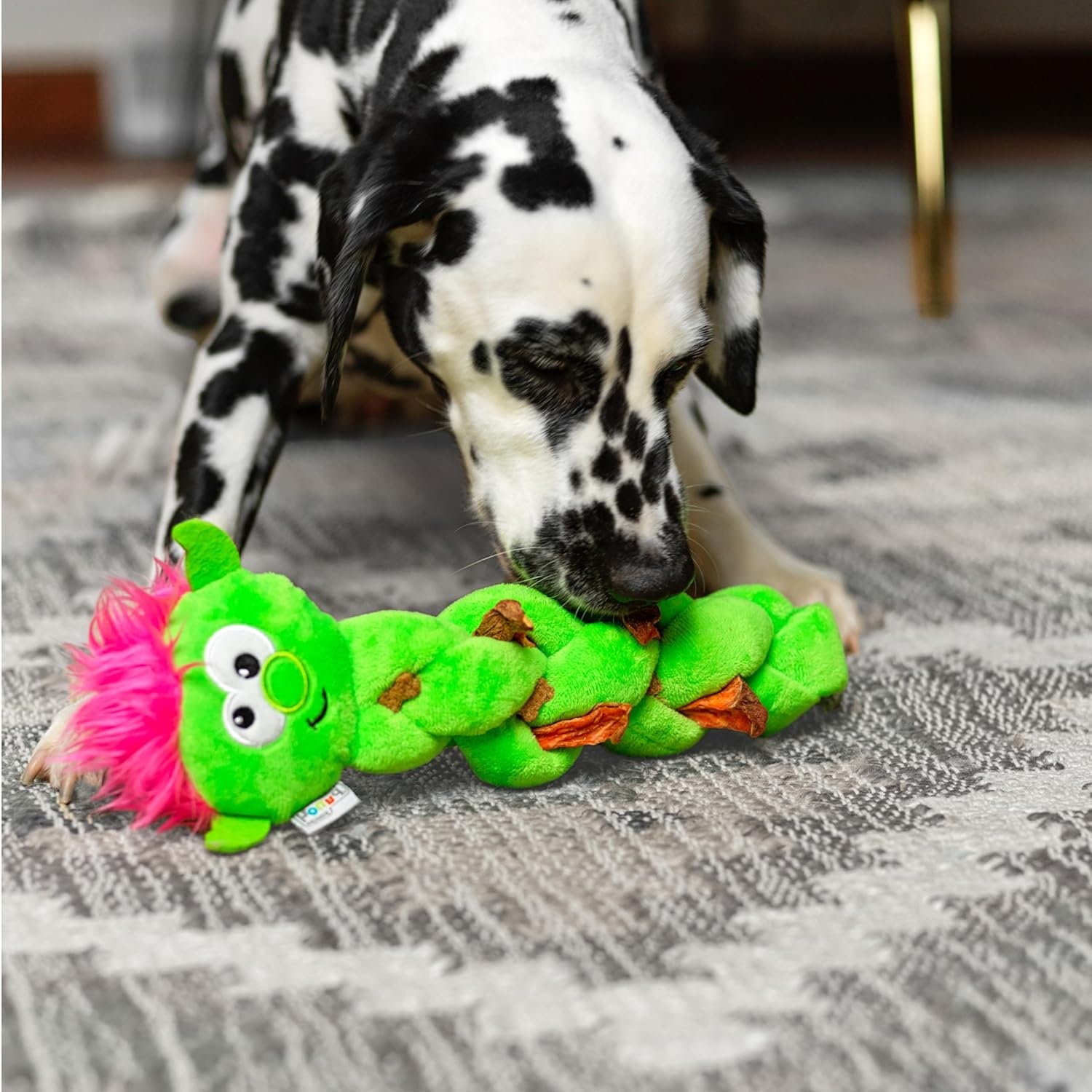 image:imageOutward Hound by Nina Ottosson Hide N Find Interactive Plush Dog Puzzle Durable Dog Toy Plush Enrichment Toys Cauliflower PurpleTwistiez Troll