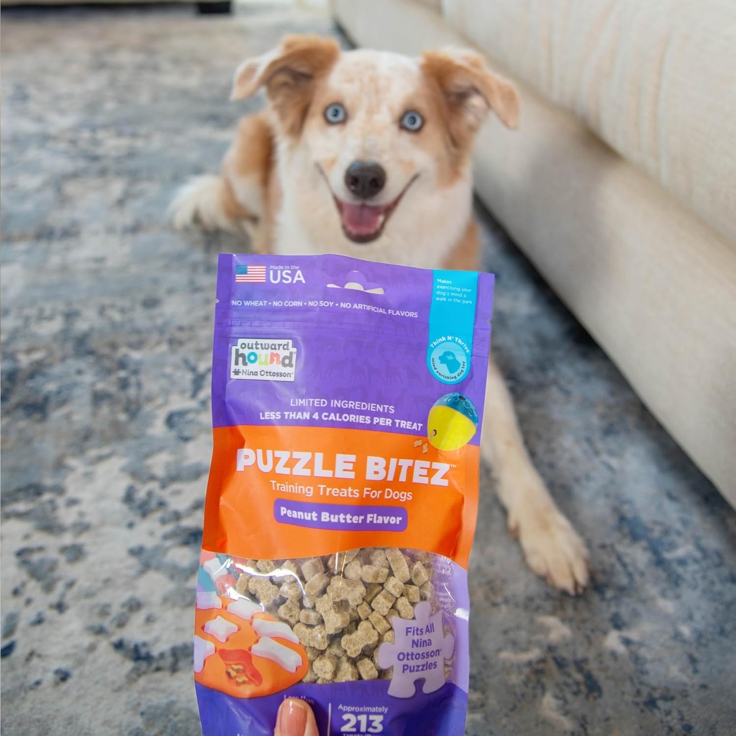 image:imageOutward Hound by Nina Ottosson Puzzle Bitez USA Made Dog Treats Pumpkin Flavor BiteSized Training Reward and Interactive Puzzle Toy Treats 75oz75 Ounce Pack of 2