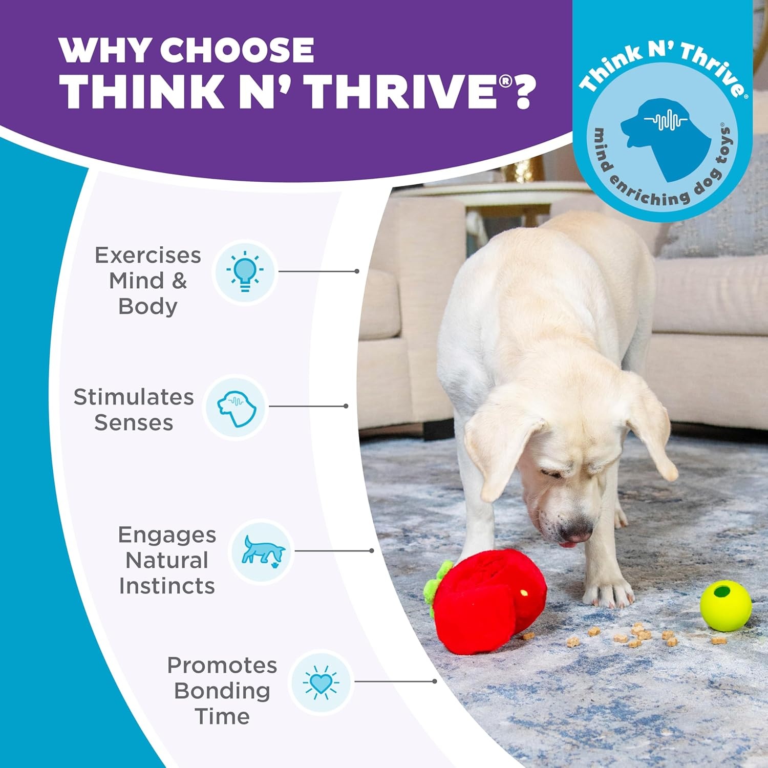 image:imageOutward Hound by Nina Ottosson Snack Palz Interactive Plush Dog Puzzle with Treat Ball Cactus GreenFruit