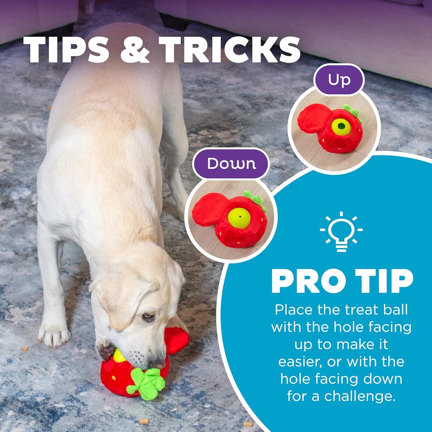 image:imageOutward Hound by Nina Ottosson Snack Palz Interactive Plush Dog Puzzle with Treat Ball Cactus GreenFruit
