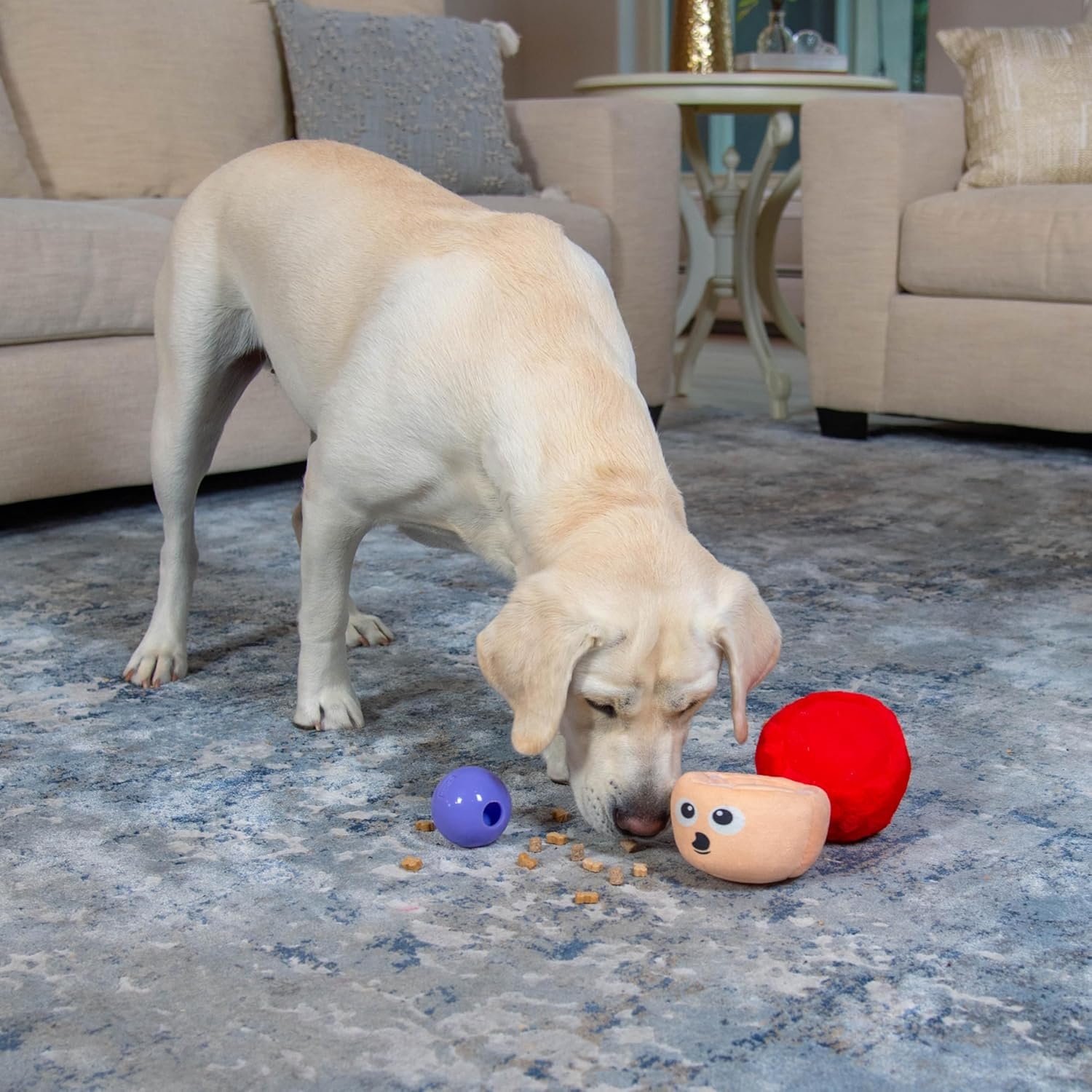 image:imageOutward Hound by Nina Ottosson Snack Palz Interactive Plush Dog Puzzle with Treat Ball Cactus GreenMushroom