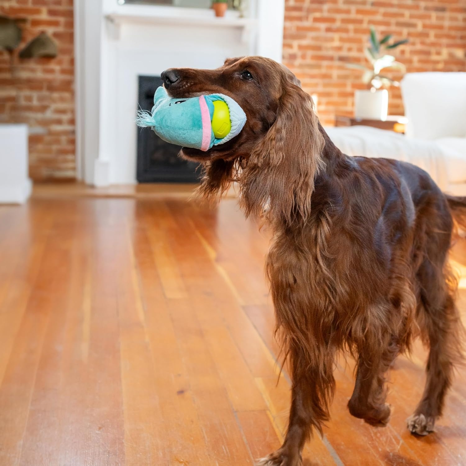 image:imageOutward Hound by Nina Ottosson Snack Palz Interactive Plush Dog Puzzle with Treat Ball Cactus GreenWhale