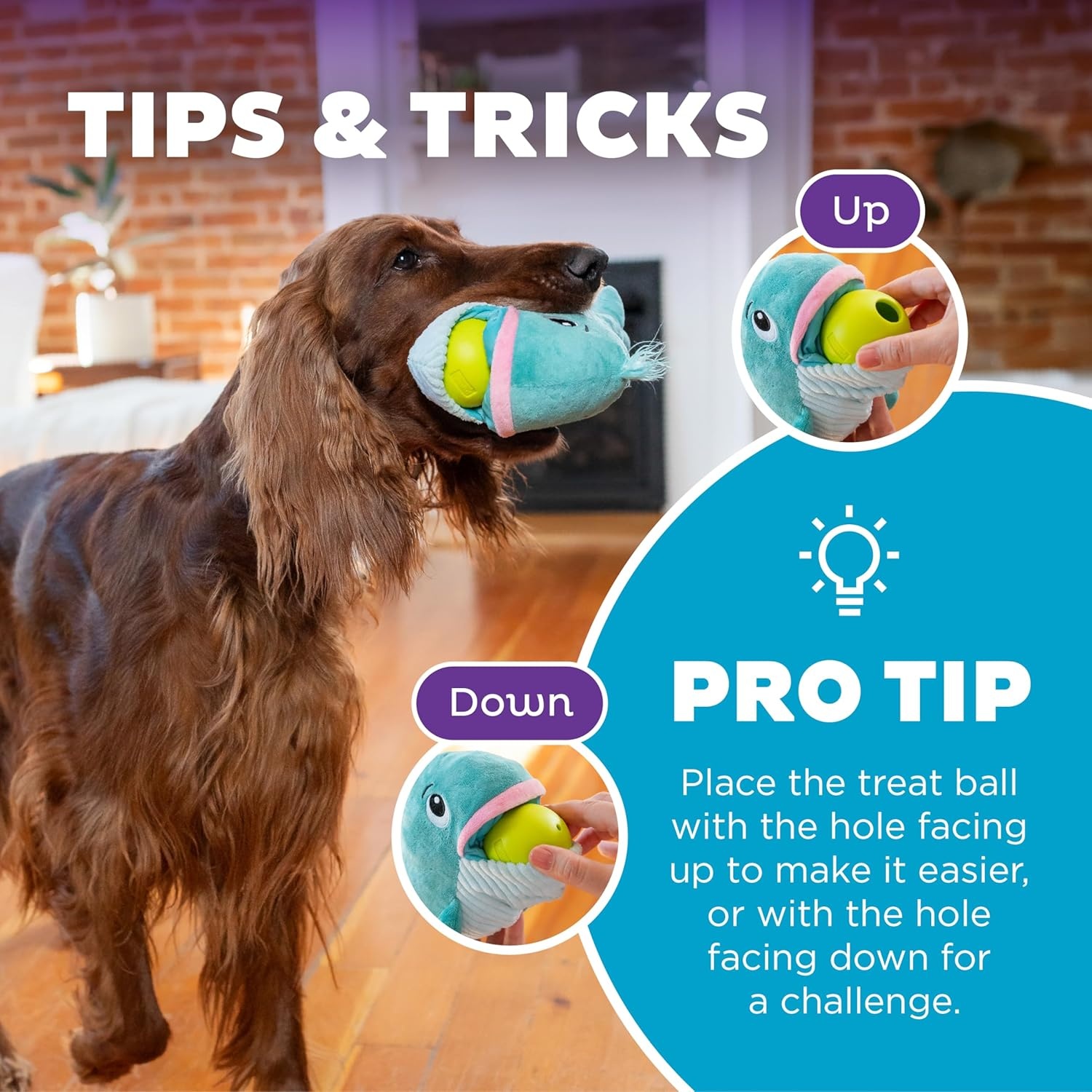 image:imageOutward Hound by Nina Ottosson Snack Palz Interactive Plush Dog Puzzle with Treat Ball Cactus GreenWhale
